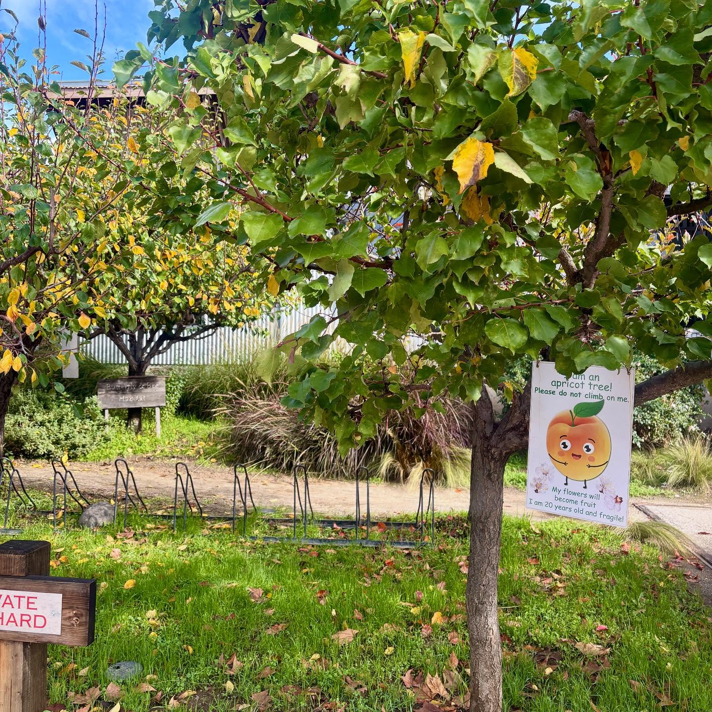 The leaves are beginning to fall! 🍂 Take a stroll around the grounds with a coffee from @barrelandbeancoffee, or cozy up in our lobby with a meal from @odeum_restaurant while you listen to the rain.
We’ve got the perfect fall vibe you’re looking for — surrounded by nature and everything you need under one roof this rainy season☔️
- @visitmorganhillca @mhcoc