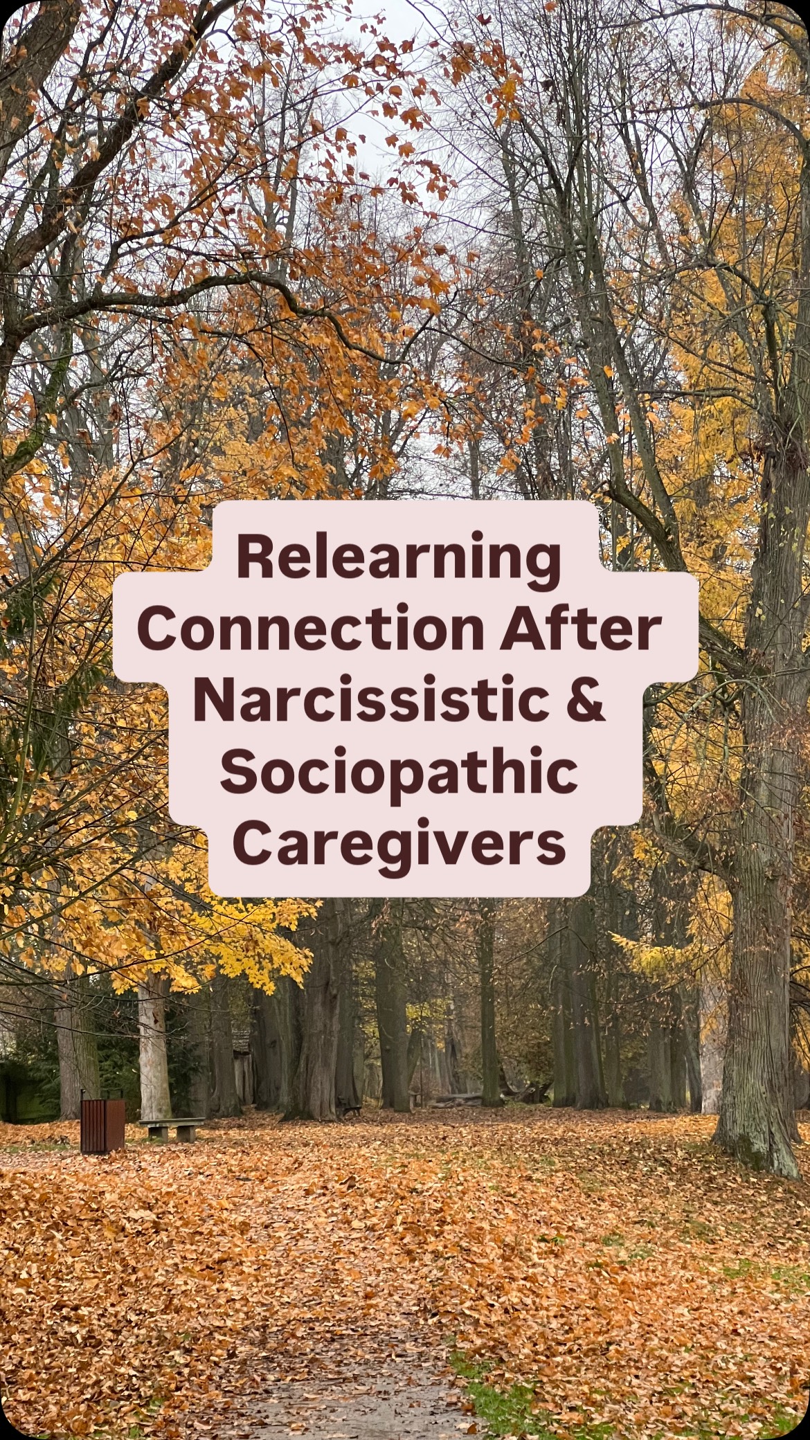 What is your connection with your core — your center — your true self?
How authentic are the bonds you create?
Authenticity means connection to yourself first —
not merging with someone else’s energy,
not hooking into their world,
not losing yourself in their emotional gravity.
If you grew up with narcissistic or sociopathic caregivers,
you know how painfully lonely childhood can be.
You cannot form an authentic bond with someone who is disconnected from their own essence.
Narcissistic and sociopathic parents live behind a façade —
and the child becomes the one who must maintain it.
Your needs don’t matter.
Your essence doesn’t matter.
Only the mask matters.
So you grow up knowing them behind their masks —
and being guilt-tripped into protecting that mask.
And that leaves a deep wound in your ability to connect with yourself…
and with others.
These families often pull in people with similar patterns.
The “nicer” parent is usually not self-soothing, not grounded, not sovereign —
otherwise, they would leave.
And someone who cannot stand up for themselves
cannot stand up for their children.
So the journey back to yourself takes time.
Often through toxic relationships that mirror the original wound.
Until one day, you don’t break —
you break through.
You let your old identity die.
You learn to reconnect with your center.
You learn to stand in your own energy.
And everything begins to rise from there.
Tell me:
✨ What has been your experience with narcissistic or sociopathic caregivers?
✨ And how do you reconnect with yourself when something knocks you out of your center?
You’re not alone here. ❤️
#HealingFromNarcissism #SelfConnection #TraumaRecoveryJourney #AuthenticRelationships