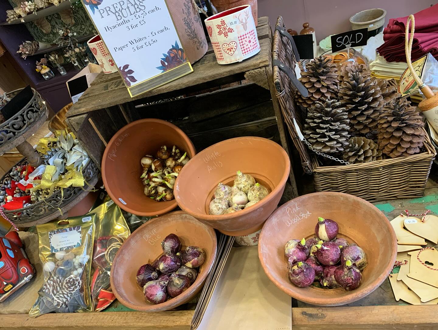 The festive season is upon us! We're excited to announce the arrival of our prepared bulbs! Move fast, they won't last long. Create stunning indoor displays with our Prepared Hyacinths and Paper Whites. Plus, get ready to create your own unique wreaths with our upcoming decor, featuring cinnamon sticks, oranges, and lotus heads. Noble fir foliage is on its way!
#rossonwye #herefordshire #christmas #preparedbulbs #wreathdecor