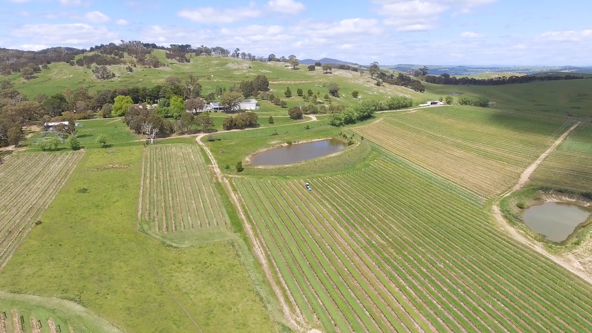 Budburst 2025 is set to be a very relaxed event at Granite Hills cellar door. We welcome you to bring a picnic hamper of your choosing and enjoy the view. Of course, a wine tasting and a glass or 2 are highly recommended!
Open 11am - 5pm Saturday 15th & Sunday 16th.
.
.
.
.
.
#macedonrangeswine #visitmacedonranges #macedonrangesnaturallycool #visitvictoria #daylesfordmacedonrangestourism #daylesfordmacedonranges #daylesfordmacedonlife #lancefield #cobaw #explorevictoria #countryvictoria #macedonranges #granitehills #granitehillswinery #victorianwine #wineaustralia #macedonrangeswinery