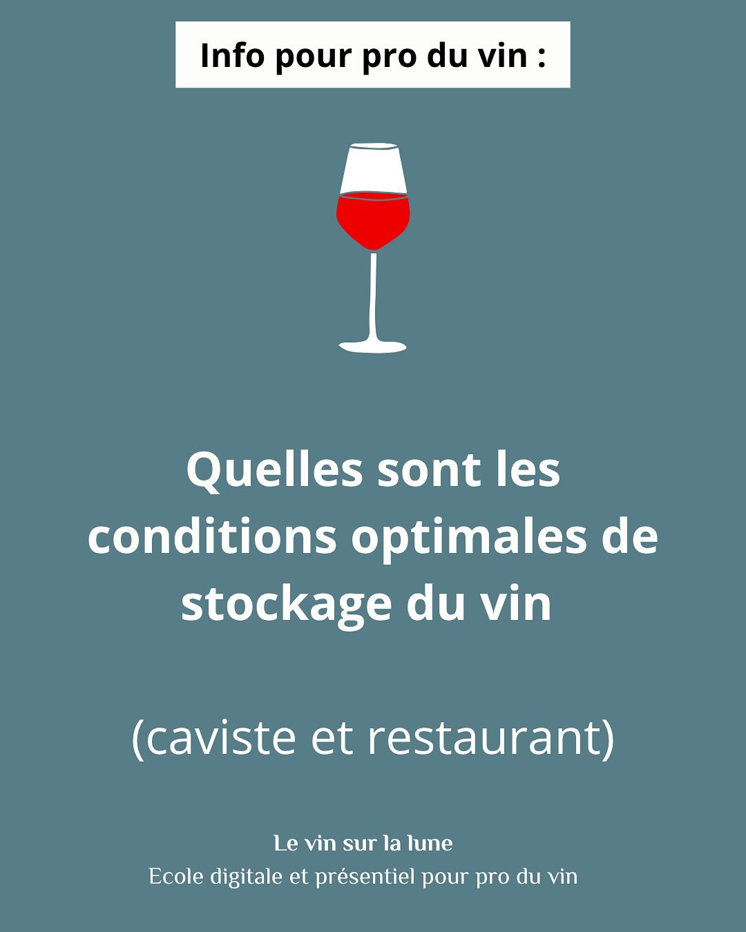 Info aux pro du vin 🍷 : quelles sont les conditions idéales de stockage des vins #caviste #restaurant #vin #formation