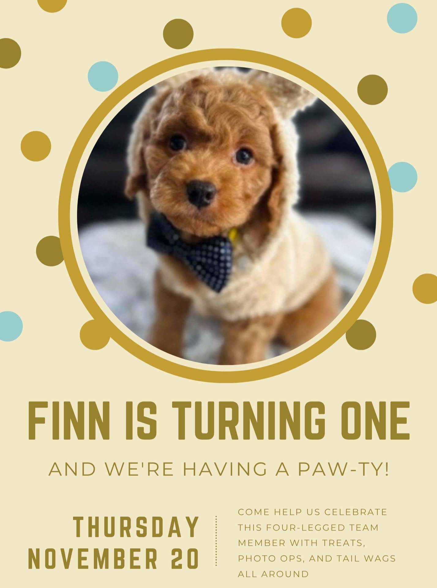 🎉🐾 It’s time to PAW-ty! 🐶💚
Our favorite office greeter, emotional support fluffball, and professional treat-taster Finn is celebrating his 1st birthday on November 20th!
We’re throwing a little birthday party here at Health 1st Chiropractic, and YOU (and your family) are invited to join in the fun! 🎂🎈
Stop by for some treats, puppy cuddles, and smiles as we celebrate our office pup who makes everyone’s day brighter. 💛
📅 When: November 20th
📍 Where: Health 1st Chiropractic, Inver Grove Heights
#Health1stChiropractic #FinnTheOfficeDog #BirthdayPawty #ChiroDog #ClinicMascot #InverGroveHeights