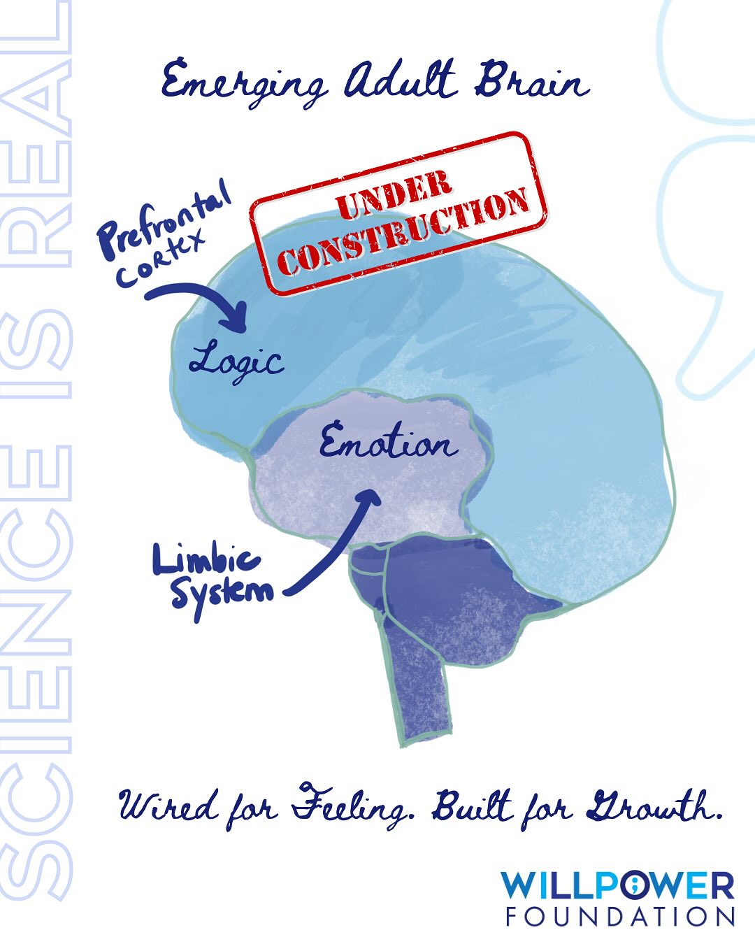 The teenage brain isn’t reckless — it’s rewiring.
During adolescence, emotion centers mature faster than decision-making ones. That mismatch explains the risk-taking, intensity, and big emotions we all remember — and it’s also what fuels creativity, connection, and courage. Teen brains light up around peers — the reward system is supercharged. That’s why connection, belonging, and mentorship matter so much. Programs like INPOWER help channel that energy toward growth, empathy, and purpose.
Adolescence is the last great window of brain growth and emotional learning. When we teach self-regulation, empathy, and purpose, we’re shaping minds — and lives — that thrive.
#WillPowerFoundation #TeenMentalHealth #Resilience #INPower #YouthDevelopment #EmotionalIntelligence
