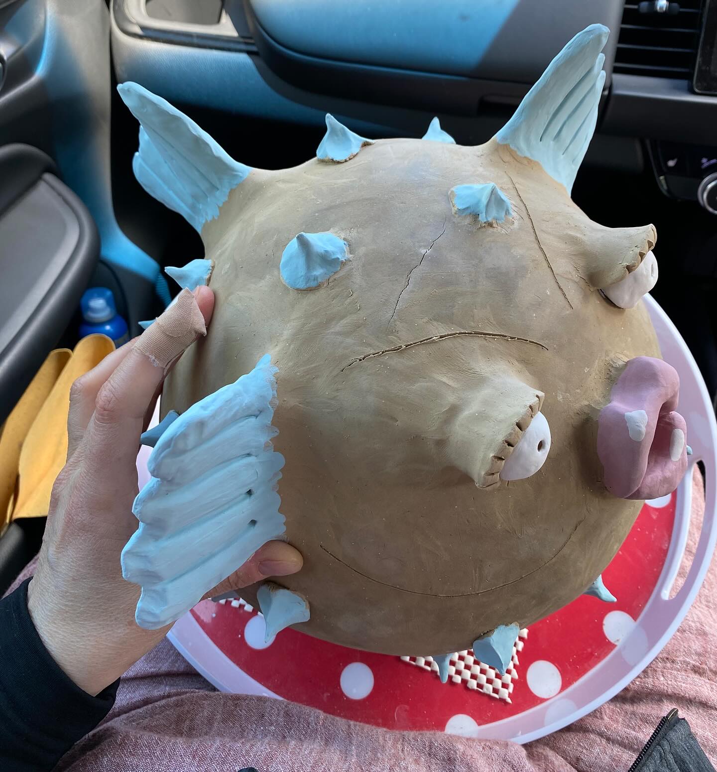 This big baby just came home with me to finish drying. I will wait until I have my kiln liscence and can fire it on my own. This will work out much cheaper than doing it through a club firing. It will take quite some time to dry still anyway. Plus I had to try and fix that crack on the top. #madebyme #ceramicpufferfish #bigfish #theonethatgotaway #dryingtime