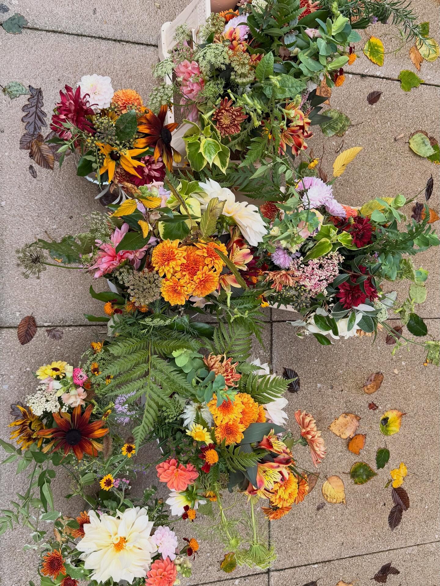 SPREADING JOY 💚 Last of the flowers from my allotment this year couldn’t have gone to a more worthy commission. Farewell flowers for a much loved father, made into two arrangements for the service yesterday, and then taken to the wake for everyone to enjoy. Today, the flowers are heading to a care home, bringing a little more joy! Thanks to @wildbunchflowers and @littleandwildflowers for more seasonal beauties #spreadthelove #seasonalflowers #localisbest #farewellflowers #floralantics
