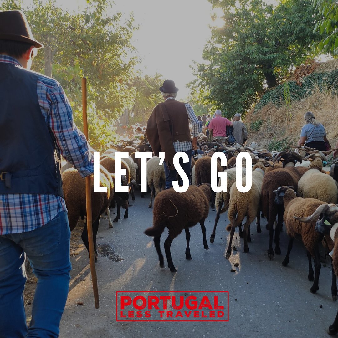 LET’S GO: There are places that only the Portuguese go, and we want to take you there through our stories and tours. When we’ve described our favorite meals, shared our secret places, portrayed our quirkiest characters–our visitors have been moved! Unanimously, they say “I’d like to go there, I’d like to see that.” This genuine interest has inspired us to showcase the pieces of Portugal that shouldn’t be passed up. We’re taking a chance, for two reasons: It makes us happy. And you’ve asked us for it.
#portugal #explorer #travelling #portugueseculture #tourism