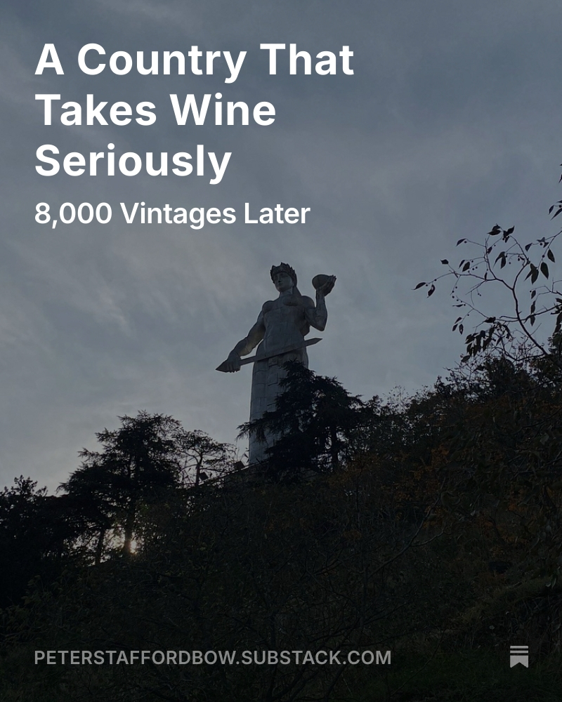 Where I decide that a research trip to Georgia is urgently required.
#georgia #tbilisi #amberwine #kakheti
Link to story in bio.