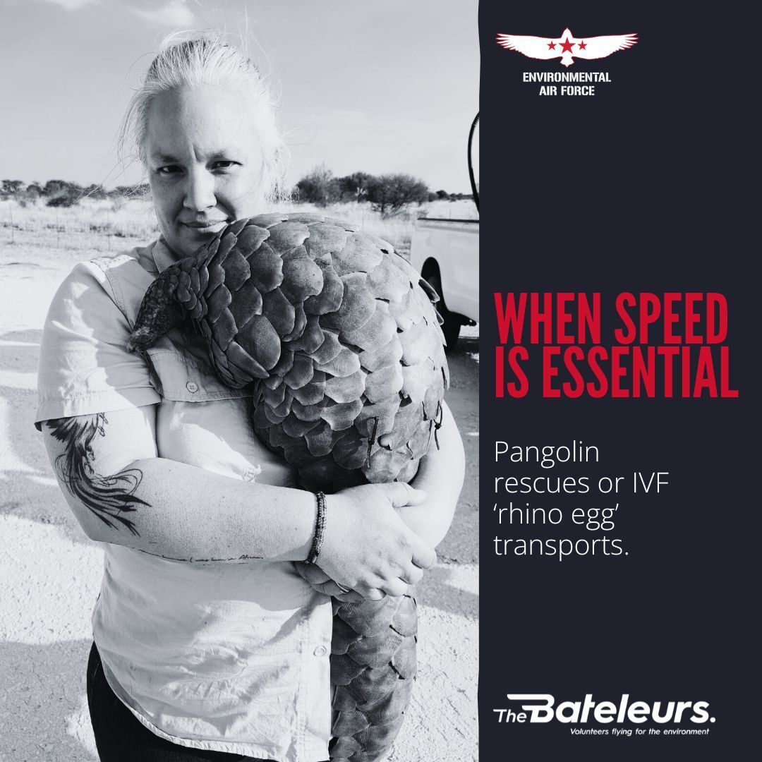 When speed is essential. Low-wing aircraft types (Sling, RV, Mooney, VL3) are perfect for hot-runs like pangolin rescues or IVF ‘rhino egg’ transports.
Story: https://bit.ly/4nAshLa
#Bateleurs #Pilots #FlyingForConservation