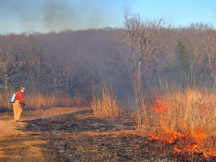 🔥Join us for our FIRE ECOLOGY program THIS SATURDAY to assist in a controlled burn and learn how controlled burning helps ecosystems thrive. Check out the event below for details and to sign up!!
Registration closes Thursday (tomorrow) night!
Ages: 10 & up (adult must accompany child)
Members - $12
Nonmembers - $15
Free slots for Gasconade County R-2 families (OES, GES, OMS)
🎟️ Get more information & REGISTER at earthsclassroom.org under ‘Events & Public Programs’ or copy the link below!
https://www.earthsclassroom.org/event-details/fire-ecology