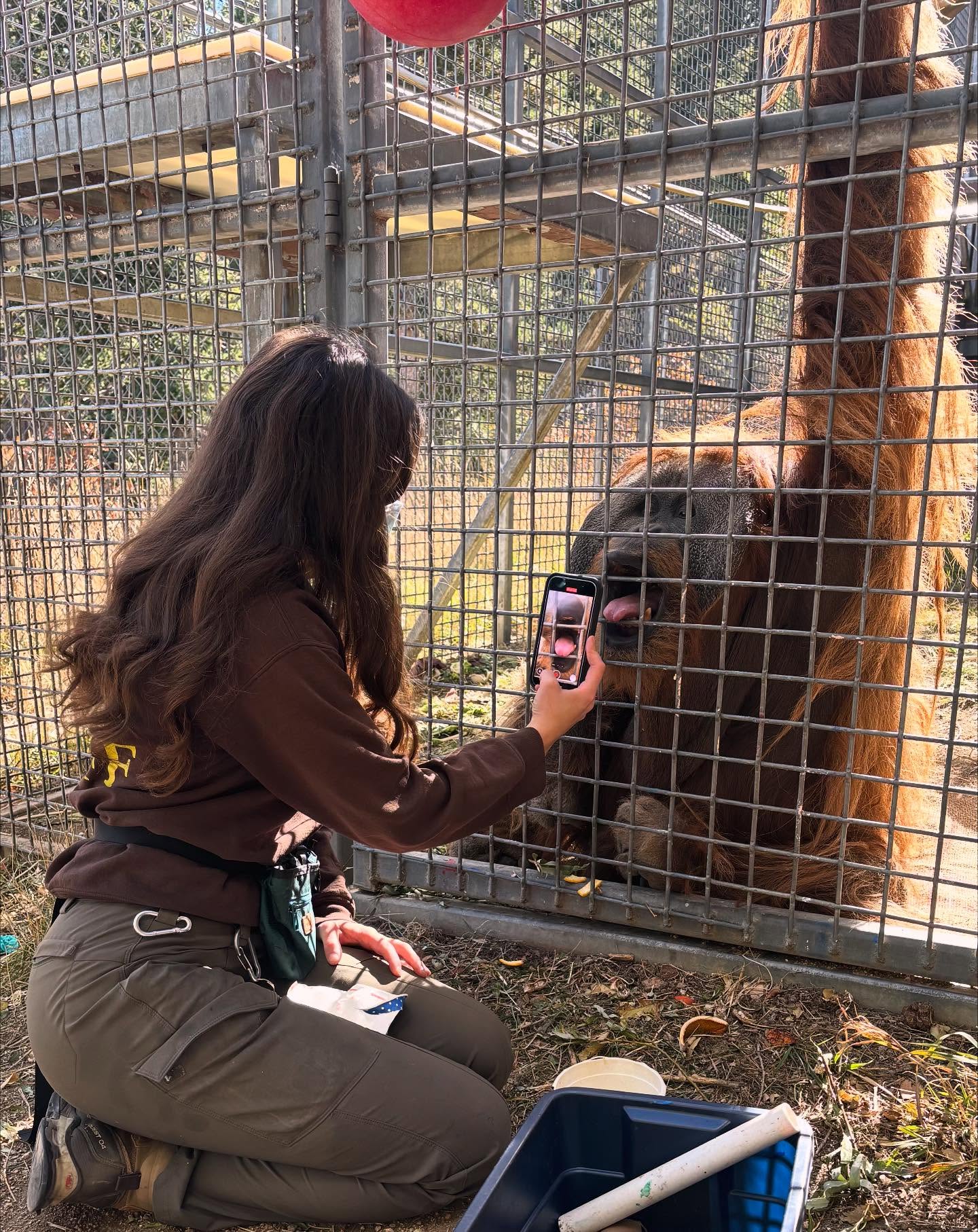 Little family zoo visit + tamarins + museum night 🤝