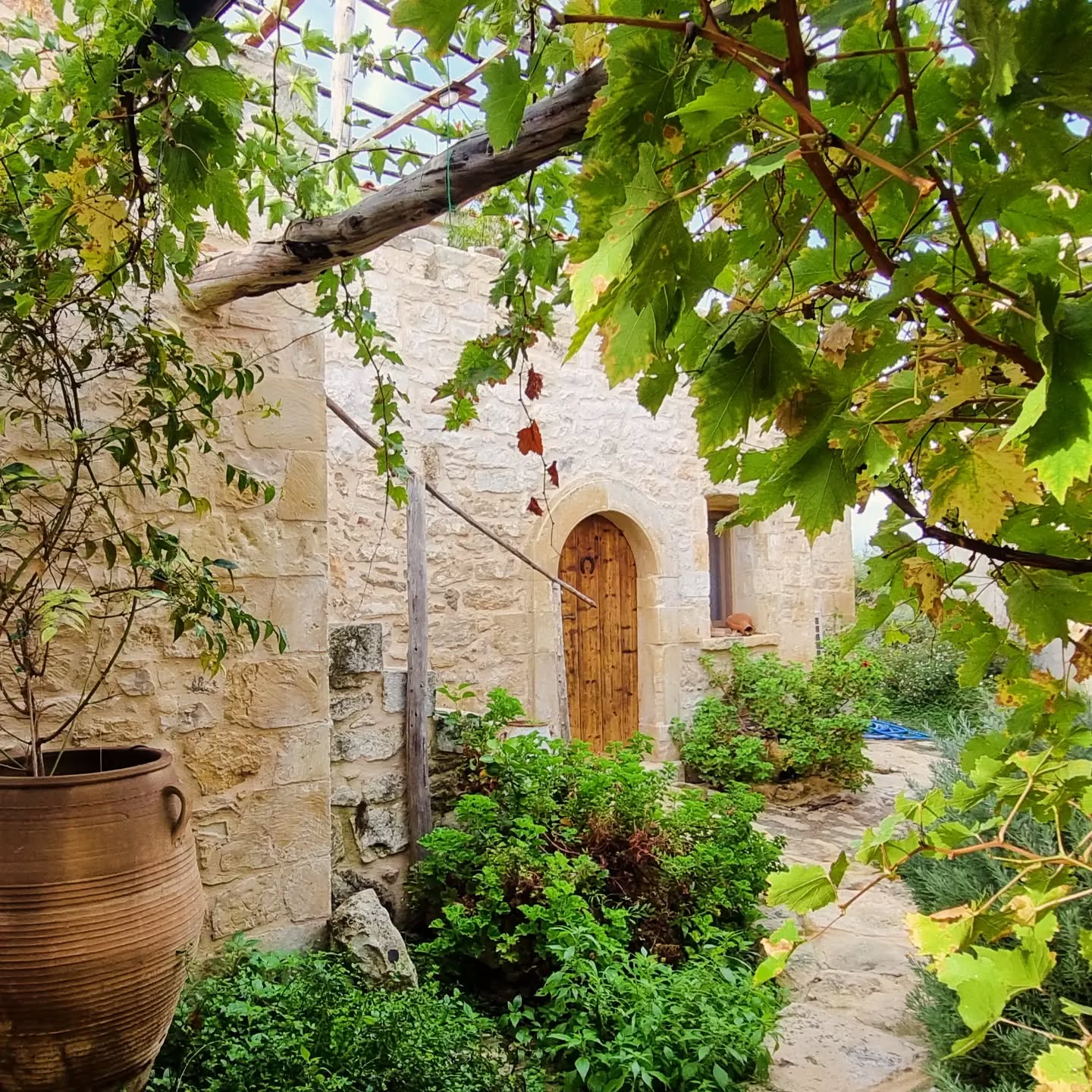 3 years of growth makes a difference in the garden