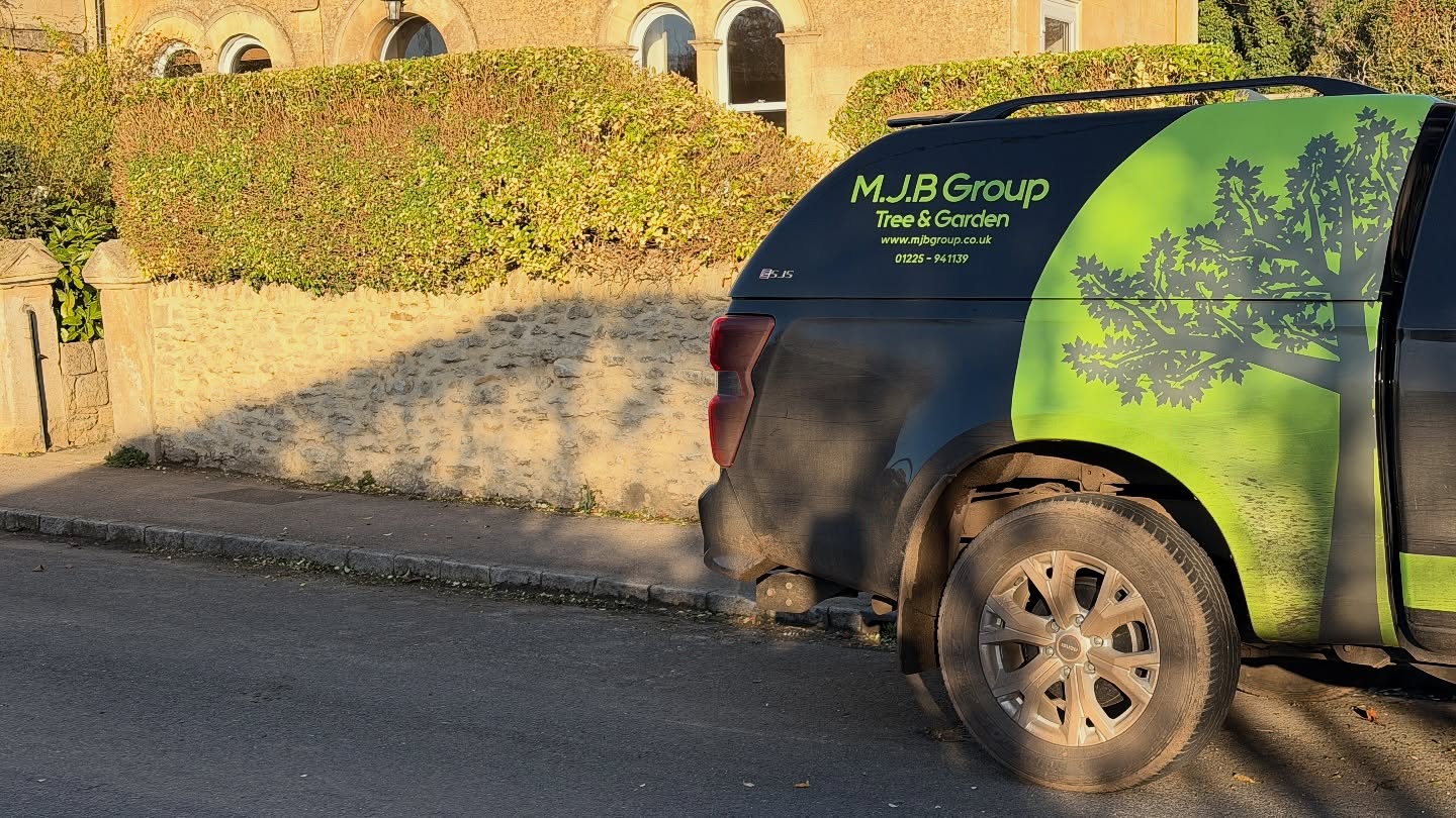 It was a beautiful morning leading into a beautiful day!
The first proper chilly morning of the year for us — but it definitely didn’t stop us! ❄️💪
Kicked things off by bringing this hedge back into shape: height reduced, sides tightened up, and everything looking clean, crisp, and ready for the season ahead. There’s something satisfying about seeing a garden transform right in front of your eyes — especially when the cold air hits and the work warms you up! 🌿✂️
Another productive day in the books. On to the next! 🙌
#GardeningLife #HedgeCutting #GardenMaintenance #BeforeAndAfter #OutdoorWork #Landscaping #GardenCare #ChillyMorning #AutumnVibes #TransformYourGarden #HedgeTrimming #GardenServices #FreshStart #SatisfyingWork #GreenSpaces #HardWorkPaysOff #SmallBusinessUK #LocalServices #GardenerLife #NatureLovers #CrispMorning #TeamNoDaysOff