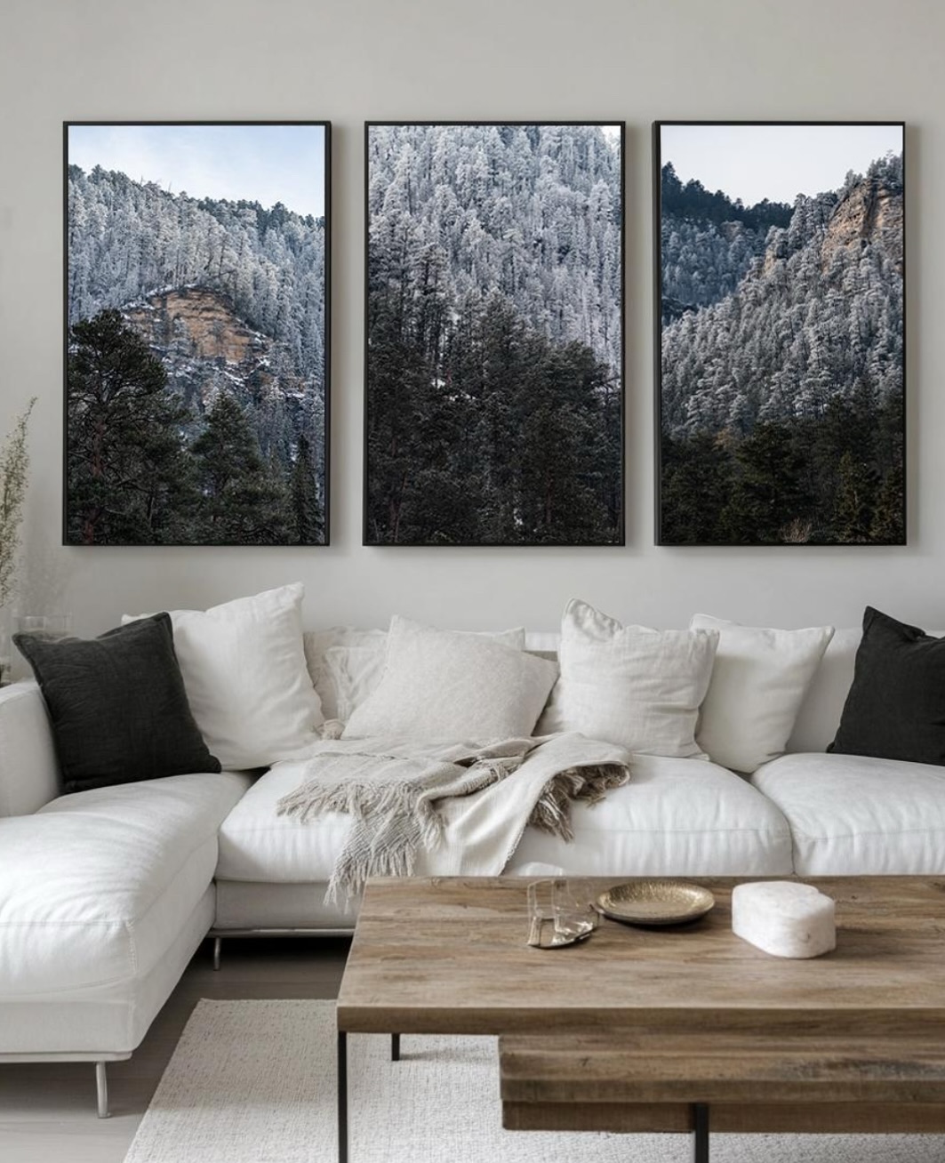 November 20th is the last day to order any float-frame canvas to arrive in time for Christmas. That’s less than 3 days away!
If you’ve been on the fence...Consider this your gentle nudge. Whether it’s a statement piece for your living room, a meaningful gift, or a way to bring a favorite place into your everyday life, a float-frame canvas is the most
elevated way to experience the artwork.
So why are float-frame canvases are my #1 best seller?
There’s a reason this style is what most of my collectors choose! Let me list a few 👇🏽
• Gallery-level presence
The canvas is wrapped and “floats” inside a refined frame, creating a quiet shadow line that makes the artwork feel like it’s suspended on your wall. It has that polished, gallery look, without feeling cold or sterile.
• Handcrafted, premium quality
Each piece is printed on archival fine art canvas, then hand-stretched and framed in Italy by skilled craftsmen. The materials are designed for a 100+ year archival life in typical display conditions, so you’re investing in something meant to last.
• Anti-glare, soft finish
The surface is like velvet and the colors and depth come alive, but without that harsh reflective glare you often see with glass, acrylic or metal prints. It’s especially beautiful in rooms with windows and mixed lighting.
• Warmth + dimension for your space
Canvas paired with a float frame adds depth and texture you can’t get from a flat poster. It feels like a genuine “window to nature” built right into your wall.
• Ready to hang, no extra framing needed
No extra trip to the framer, no guesswork. Your piece arrives finished, ready to hang, and sized to make a statement!
If you’re not sure which size or image will fit best, shoot me a message or send me a photo of your wall. I’m happy to create a quick mockup to help you choose!