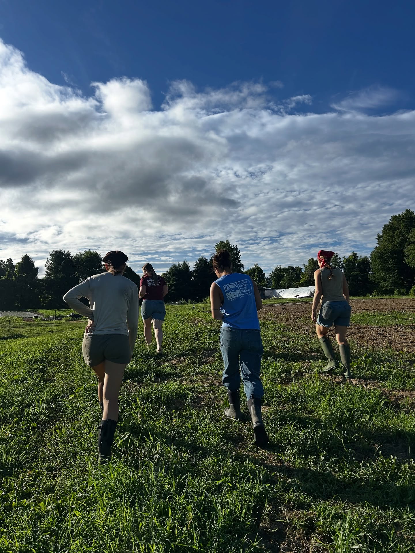 This season was made possible by our whole amazing farm team! Our farm director Elle, crew leader Taylor, apprentices Leah, Sophie, and Kaela, farmhand Michele, culinary institute of america interns Ruba and Addie, and Empire State Service Corps intern Caro!