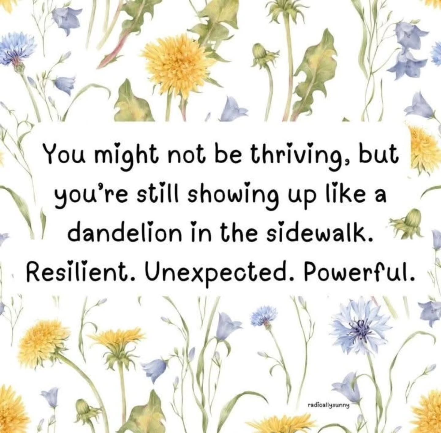 There is this notion that we have to give 100% all of the time. That we have to be on. That we have to hit all the right notes.
That's not true.
Sometimes your best 100% isnt going to be what you can normally achieve and that's okay. You're human. The world is hard. It isnt feasible to be all in all of the time.
đŒWake up every day.
đŒDo what you can do.
đŒDrink your water.
đŒEat something.
đŒIf all you manage to do is the bare minimum because you are too tapped out to think of anything more, Im proud of you.
Just continue to show up in whatever capacity you are able to and show yourself love, patience and grace.
(For the record, dandelions have amazing healing properties soooo...there is nothing wrong with a dandelionđŒ)
#selfcare #selflove