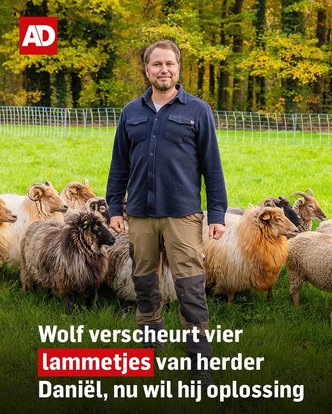 Heb je behoefte aan een genuanceerd verhaal over de wolf? Lees zeker even het interview met mij dat het AD dit weekend publiceerde. Met daarin vooral de vraag: “hoeveel / welke leefruimte heeft een wolf nodig én wie mag dat bepalen?”.
👉 Lees het hele artikel <link in bio>
🐺 Is een wolf zelf wel toegerust om te bepalen welke leefomgeving voor hem geschikt is?
🌍 Mag en kan Europa dat bepalen voor alle lidstaten? In hoeverre is daar ruimte voor aanpassing van de regelgeving wanneer voortschrijdend inzicht uitwijst dat toch niet alle plekken in heel Europa hiervoor geschikt blijken?
👨🎓Wie mag dat bepalen en op basis van welk onderzoek?
het zijn slechts enkele van de vele vragen die bij mij leven over de #wolf. Ik heb me in dit artikel zo genuanceerd en constructief mogelijk proberen uit te drukken en vooral dat vind ik belangrijk! Want wanneer we blijven praten in welles nietes, voor of tegen komen we geen stap dichter bij de oplossing die voor iedereen nodig is. Ook voor de wolf zelf! En voor iedereen die last van hem hebben of hem een warm hart toe dragen.
Artikel door @joboldegbersad
Fotografie @menno_bausch_fotografie
@adamersfoortsecourant
@adutrecht
#utrechtseheuvelrug