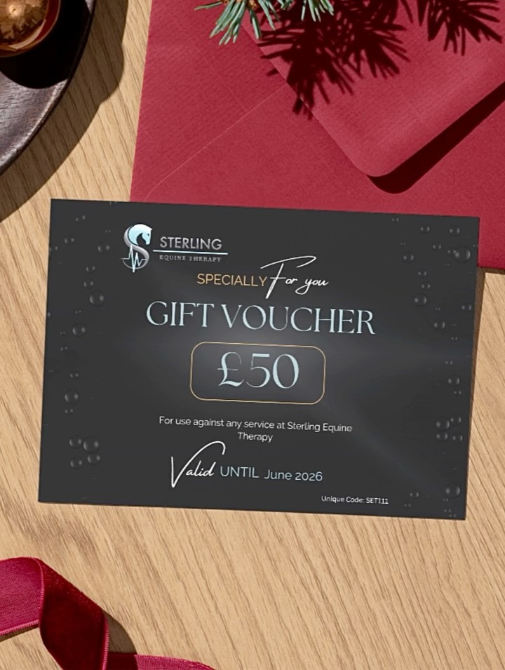 Struggling to find the perfect gift for your horsey friend or family member? 🎁🐴
This Christmas, treat them to something truly thoughtful with Sterling Equine Therapy Gift Vouchers — redeemable for any of our services! ✨
From rehab sessions to conditioning or a pamper day at the spa, they can choose exactly what their horse needs. And the best part? You can load the voucher with any amount you like. 💙💦
Perfect for last-minute shoppers, thoughtful givers, and every equestrian in between.
🎄 Available now—DM us to purchase or contact 07539254181! 🎄