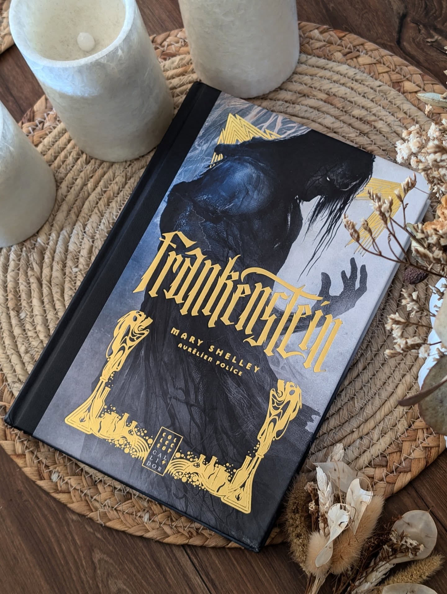 ✨ Frankenstein – Mary Shelley | Illustré par Aurélien Police ✨
Il y a des classiques qu’on croit connaître… puis on les relit, et tout bascule.
Avec cette nouvelle édition sublime, publiée chez @editions.callidor, et illustré par Aurélien Police, j’ai redécouvert Frankenstein comme si c’était la première fois.
Ici, Mary Shelley nous pousse dans une zone inconfortable : Qui est vraiment le monstre ? Qui mérite notre compassion ? Où commence la faute : dans la création ou dans l’abandon ?
On y retrouve bien sûr Victor, obsédé par son ambition. La Créature, affamée de douceur et rejetée avant d’avoir pu prouver quoi que ce soit. Et nous, lecteurs, on est ballottés entre les deux, incapables de trancher.
C’est un roman qui questionne la responsabilité, la solitude et ce que la société fait de ceux qu’elle refuse d’accueillir.
Un roman terriblement actuel qu'il est toujours bon de lire.
Les illustrations d’Aurélien Police, elles, apportent une dimension presque mythologique : des tableaux sombres, qui prolongent l’émotion et donnent un nouvel écho aux scènes.
J’ai refermé ce livre avec ce sentiment d'avoir redécouvert un classique !
Une édition qu'on veut tous dans nos bibliothèques car c'est une histoire magistrale et indispensable avec une couverture qui fera un très bel effet dans votre collection !
#Frankenstein #MaryShelley #AurelienPolice #EditionIllustrée #Classique #LittératureGothique #RomanImmortel #BookstagramFr #LectureDuMoment #ChefDoeuvre #LitteratureAnglaise