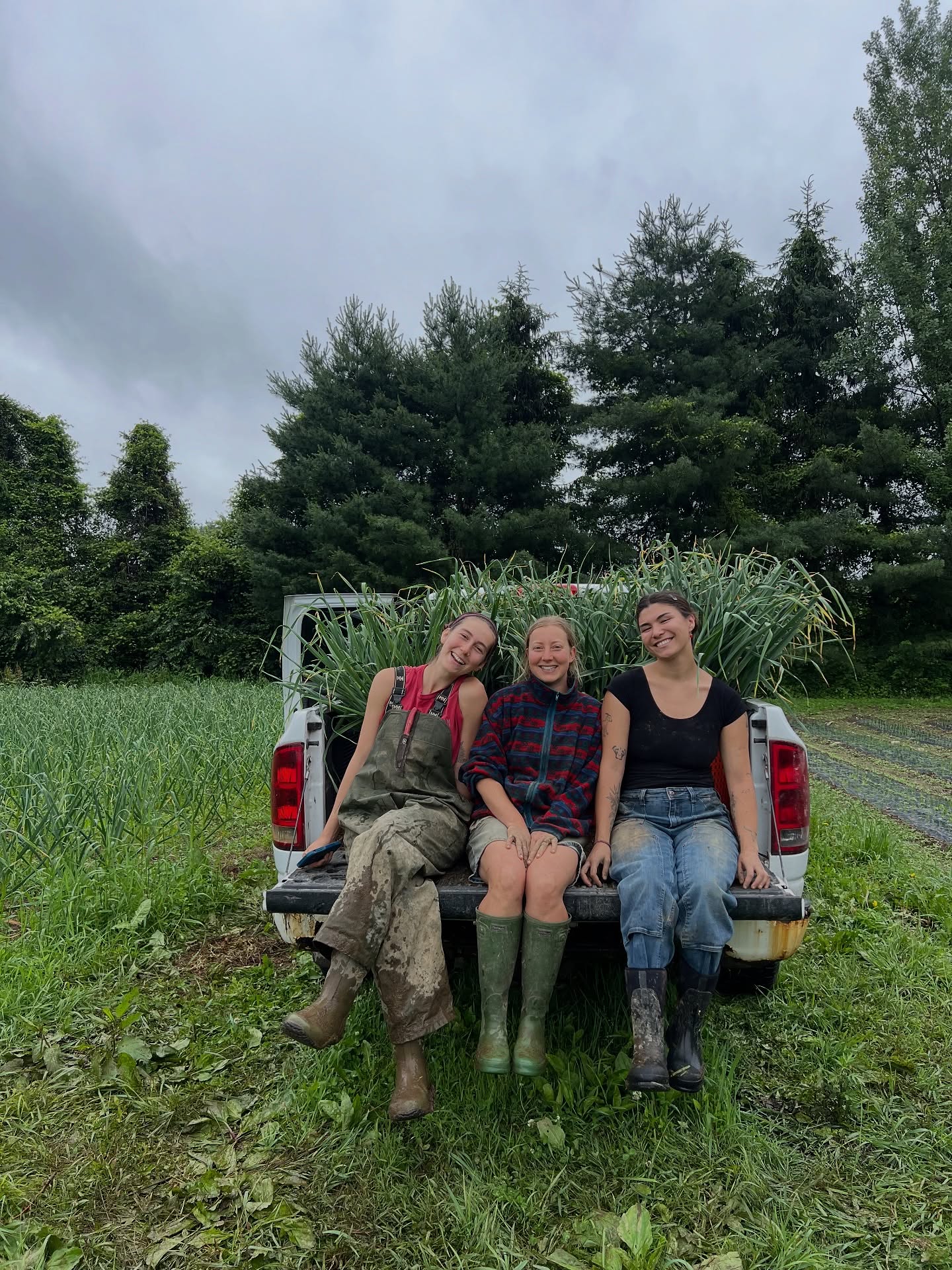 What a season it’s been! I am feeling so much gratitude for our apprentices this season. These three powerful women were our core team growing over 55,000 lbs of food this year! It had been a honor to work along side them, to teach them, and to watch them grow over the last 8 months. Leah, Kaela and Sophie touched so many lives through their work as farmers, and we can’t wait to see whats in store for them in the future. Leah is staying local here in New Paltz, Kaela is heading back to LA before returning to the NYC / HV area to continue farming, and Sophie is staying on here to continue farming here for the winter season with her dog Bonnie.