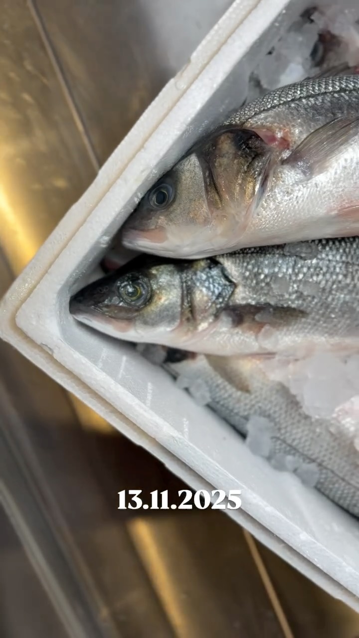 The wait is almost over. 🐠 👀
13.11.2025
#fishmarket #fish #seafood #freshfish #fishing #fishmonger #freshseafood #seafoodlover #fresh #foodie #salmon #food #foodphotography #instafood #foodporn #pescheria #seafoodmarket #pescefresco #fishmarkets #tuna #market #fisherman #pesce #sushi #fishfarming #fishandchips #sustainable #business #freshcatch #agriculture