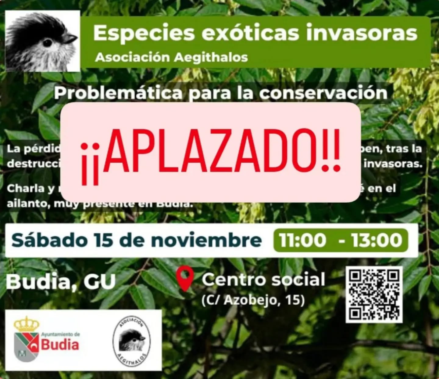 La actividad del sábado día 15 de noviembre queda aplazada.
#Budia #Guadalajara #asociaciónaegithalos #conservacióndelanaturaleza