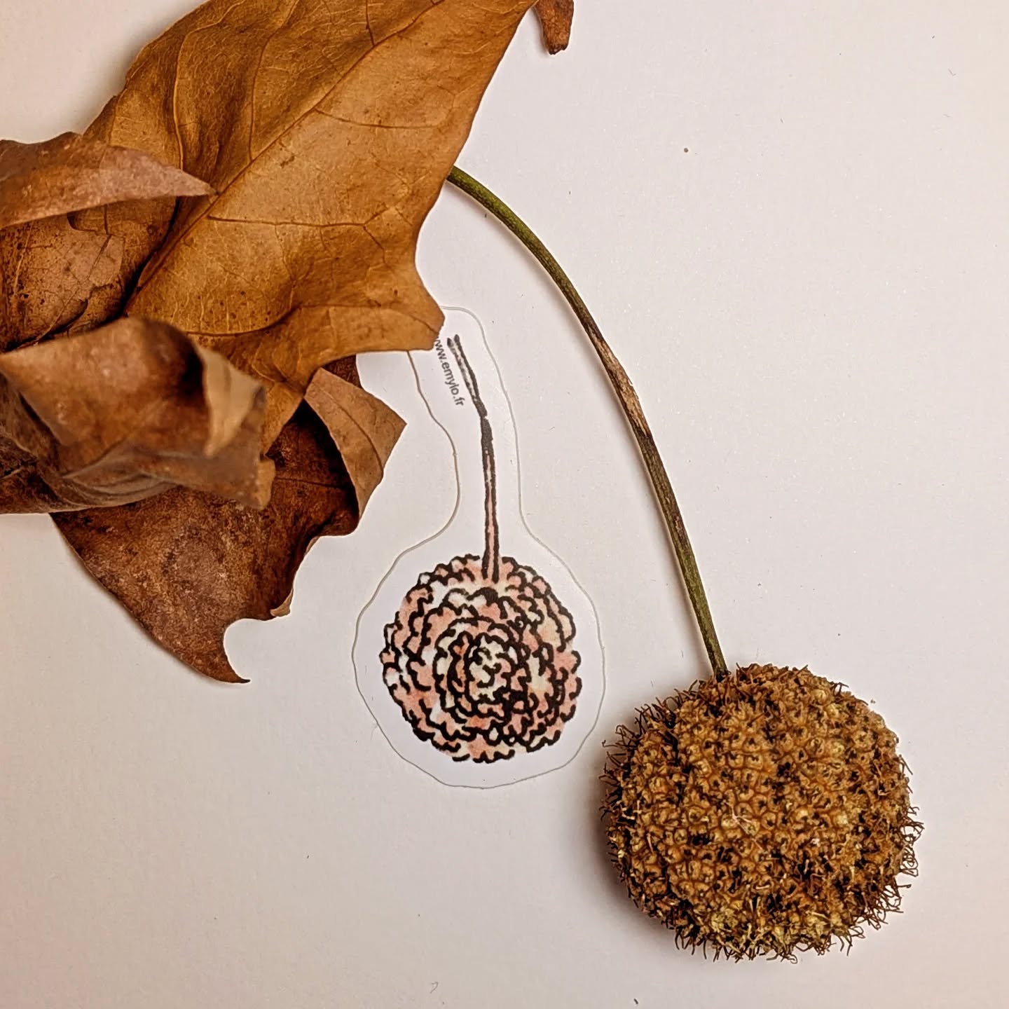 🔥 STICKERS 🌳🌳
Pour les fans de stickers ET de Toulouse, ce petit pack des 7 illus * Best sellers* à coller partout 🥳🥳
- St Sernin
- La Grave
- Le Capitole
- Le plan de Toulouse
- La boule de platane
- TOULOUSE
- et bien sûr La chocolatine 😋
En vente :
- @les_pepites_occitanes (toulouse) jusqu'à fin novembre
- @popcreaboutique (Toulouse)
- sur www.emylo.fr
#sticker
#stickerart #stickertoulouse #illustrationstoulousaines #toulouseactu #toulouse #decosticker #lagravetoulouse #stsernintoulouse #chocolatine #plandetoulouse #platane #canaldumidi #capitoletoulouse