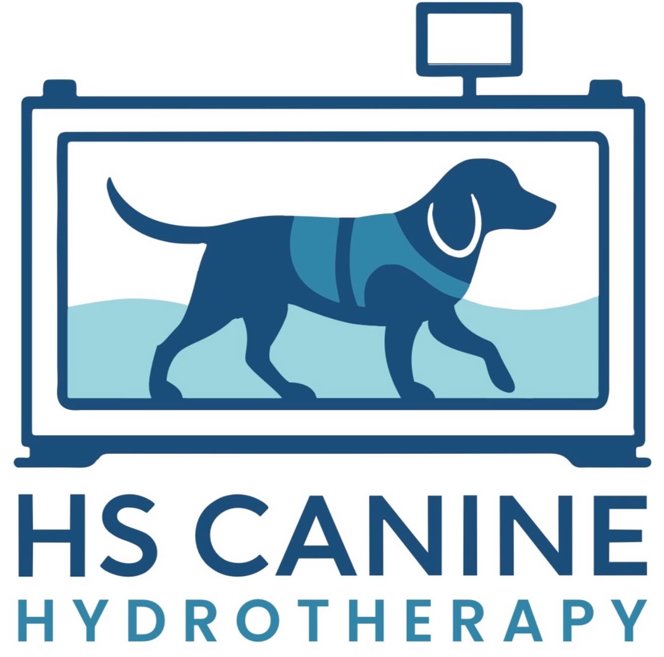 Dear Clients and Friends,
A Message from Maggie Cunniffe
After 20 wonderful years working with dogs (and the occasional cat!), I have decided to hang up my wetsuit. Although it’s sad to say goodbye, now feels like the right time to hand over my “water wings” to Harvey and his team. I’m very happy that Top Dog will continue — albeit under a new name and at a new location — but I know that its ethos will remain the same: it’s all about the dog.
It has been such a privilege to meet so many wonderful dogs over the years, and I have loved every single one of them. Harvey has worked incredibly hard over the past year, growing the business and earning several awards in hydrotherapy. I am confident that he will continue to care for your dogs in the true Top Dog Way, and I wish him every success in this next chapter.
Warm regards,
Maggie Cunniffe
A Message from Harvey
I’ve loved running Top Dog Canine Hydrotherapy over the past year — seeing so many different cases and meeting such amazing clients has been a real joy. As the business continues to grow, I’m very excited to announce that we’ll be opening a new centre called HS Canine Hydrotherapy.
Opening Date: 15th December (11th December last day at TOP DOG HYDRO)
New Address: Unit B16 & B17, Grateley Business Park, Cholderton Road, Grateley, SP11 8SH
Email: contact@hscaninehydrotherapy.com
Phone: 07384 778397
Our new facility will feature an advanced Underwater Treadmill (UWTM), and there will be room to add a pool at a later date. I’ve already begun letting clients know about this change — for some dogs, pool-based rehabilitation may still be more suitable, and I’ll happily help direct those cases to the nearest centres that have a pool.
For others, we’ll continue with the UWTM and monitor progress — it’s a fantastic piece of equipment that delivers great results for many dogs.
I’m incredibly proud of how far we’ve come and so grateful for your continued support. Let’s keep growing together, achieving great results for your dogs — and hopefully winning even more awards along the way!
I look forward to welcoming you all to HS Canine Hydrotherapy soon.
Best wishes,
Harvey Standfield
HS Canine Hydrotherapy