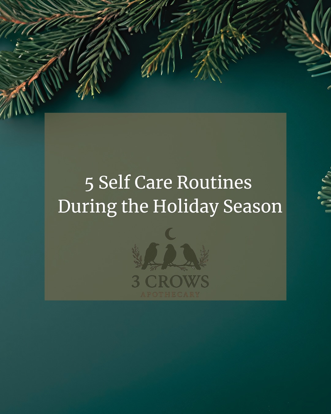 As the holiday season approaches and family visits begin, remember: peace is a practice.
Herbal allies like milky oats, lemon balm, chamomile, motherwort, passionflower, and lavender remind us to soften, breathe, and return home to ourselves.
Healing isn’t just herbs — it’s boundaries, silence, ritual, and rest.
Protecting your peace is not selfish.
It’s herbal wisdom in action. 🦋🌿
#3crowsapothecary #protectyourpeace #nervoussystemcare #herbalhealing #modernherbalism #seasonofpeace #boundarywork #holisticliving #groundedandgrowing