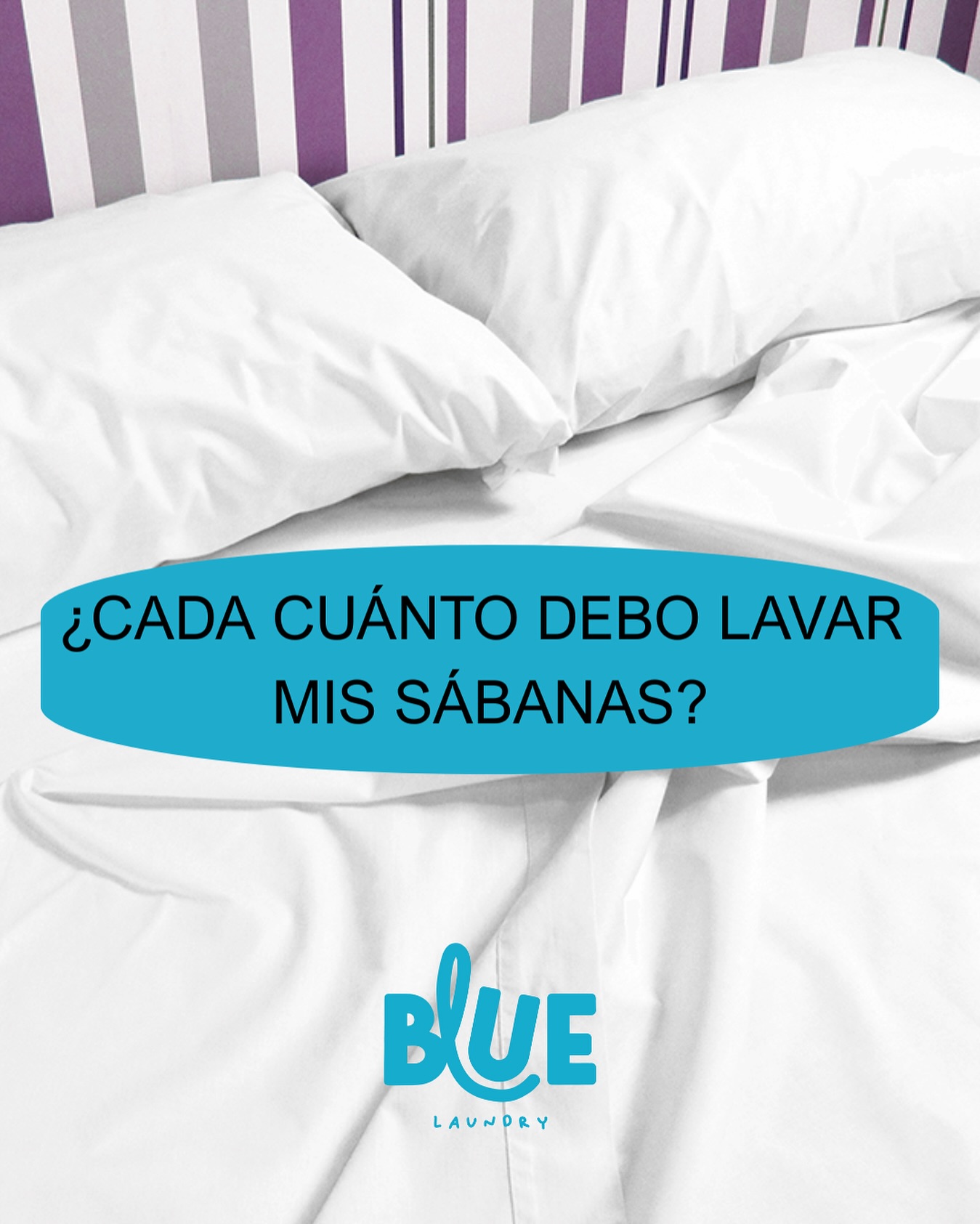 🛏️✨ Tip BlueLaundry: ¿Cada cuánto deberías lavar tus sábanas? ✨🧺
Aunque muchas veces no lo parezca… las sábanas acumulan polvo, sudor y bacterias incluso cuando se ven limpias 😴
👉 Lo ideal es lavarlas cada 1 o 2 semanas, según la temporada y el uso:
✔️ Cada semana: si duermes con mascotas 🐶🐱 o hace calor 🥵
✔️ Cada 2 semanas: si usas pijama y aireas bien la cama cada día 🌬️
💡 Consejo extra:
Lávalas con agua caliente (60 °C aprox.) y sécalas completamente para mantener la frescura y eliminar ácaros.
📍 BlueLaundry Son Ferriol
C/ Escuela Nacional, 46 · Abierto de 7:00 a 23:00
💙 Ropa limpia, descanso perfecto.
#BlueLaundry #SonFerriol #Mallorca #LavanderíaAutoservicio #TipBlueLaundry #HigieneDelHogar #SábanasLimpias