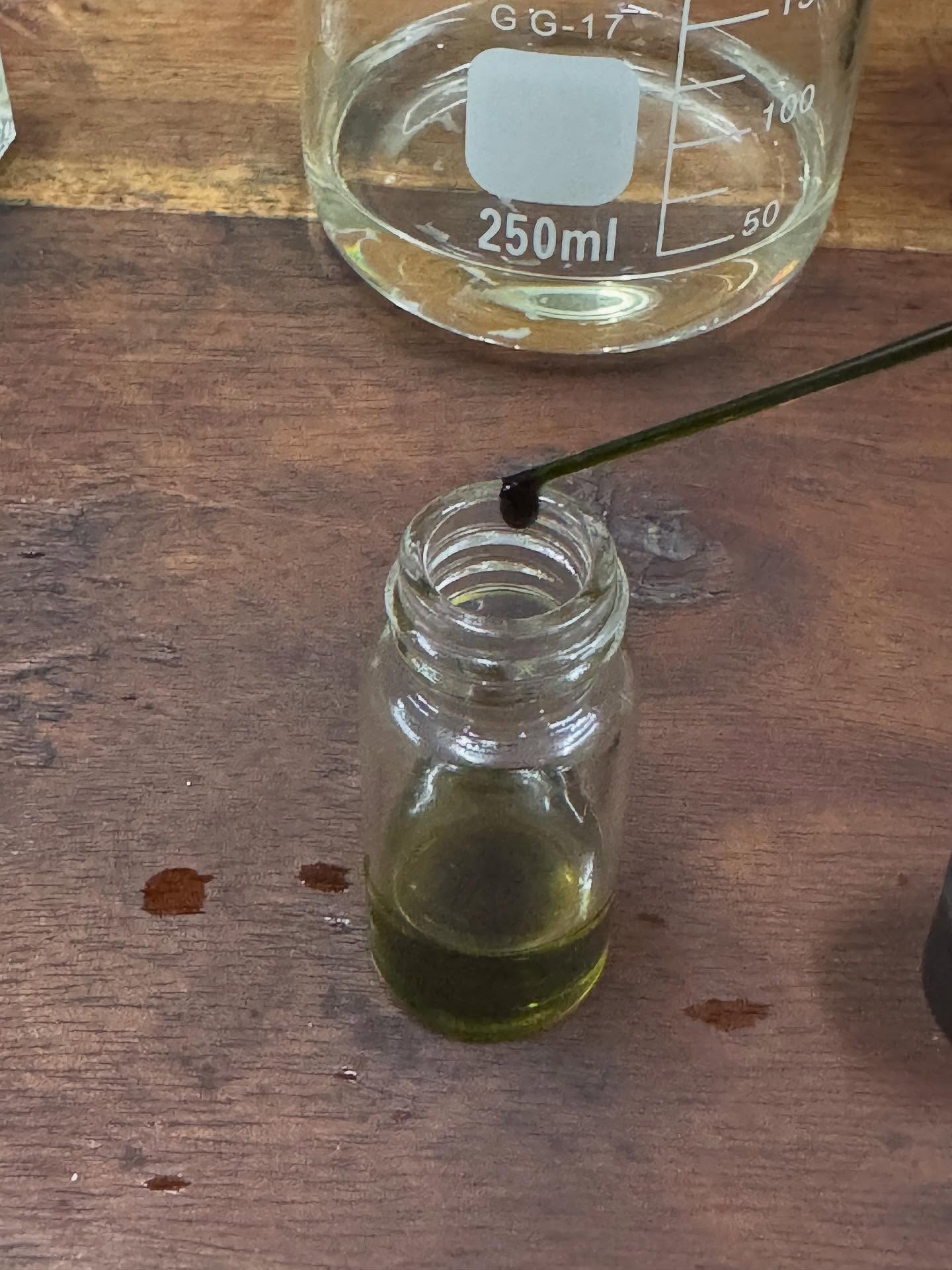 Our phones are busy with soap & perfume orders and even customized perfume orders for solids ! Thanks for Popping in! You may continue with sending DMs and then we return to process it on Monday. Dont worry we will ipen first messages first.✨