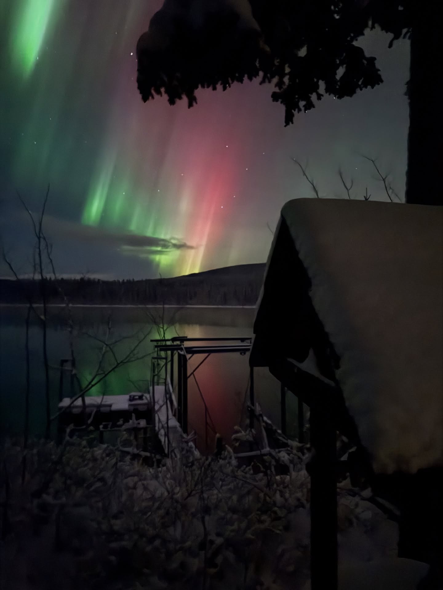 No words needed!
#wildplaceadventures #northernlights #yukon #travelyukon #tagishriver #lovethislife #bringingthewildhome