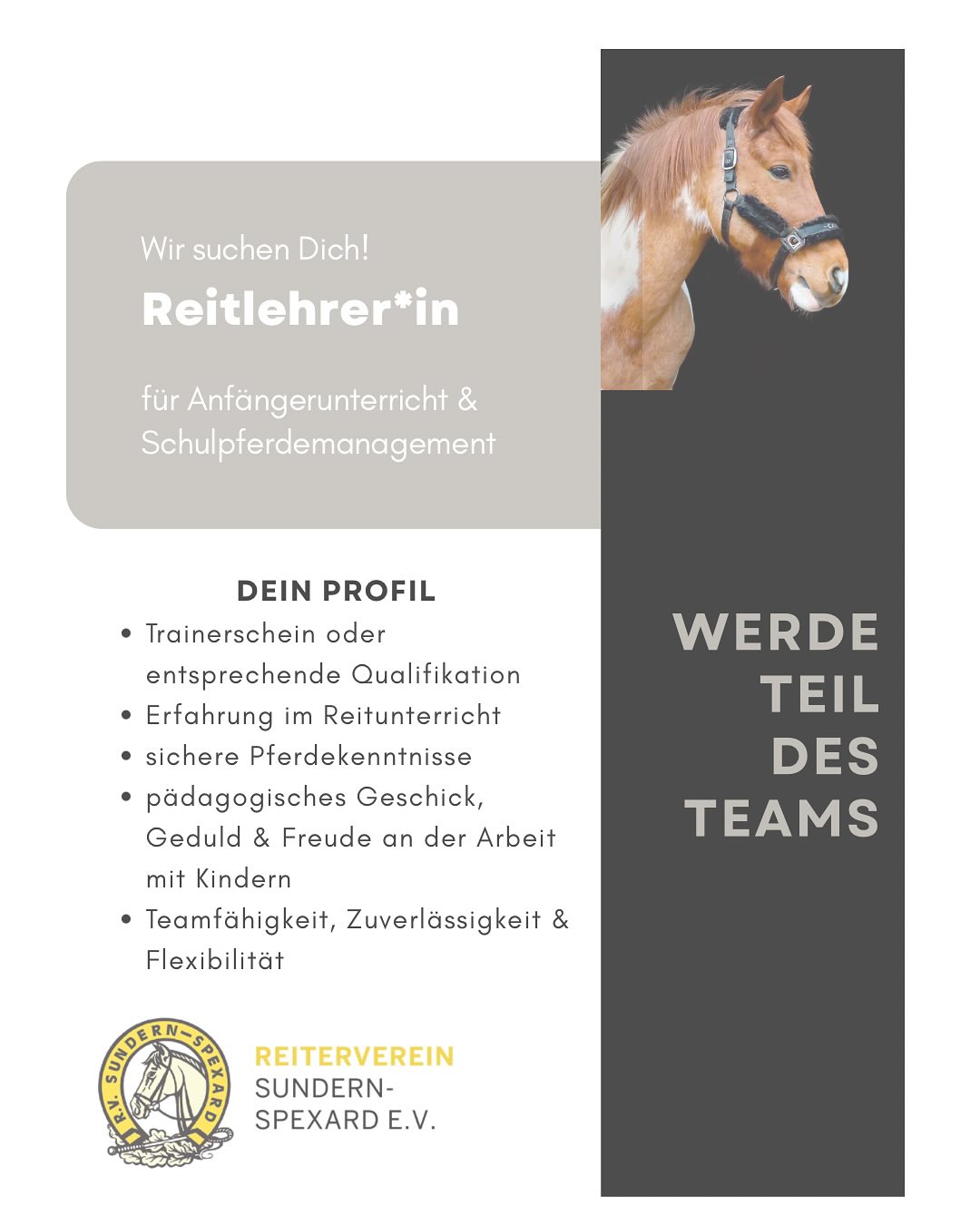 WIR SUCHEN DICH ALS ERGÄNZUNG FÜR UNSER TEAM!🐴