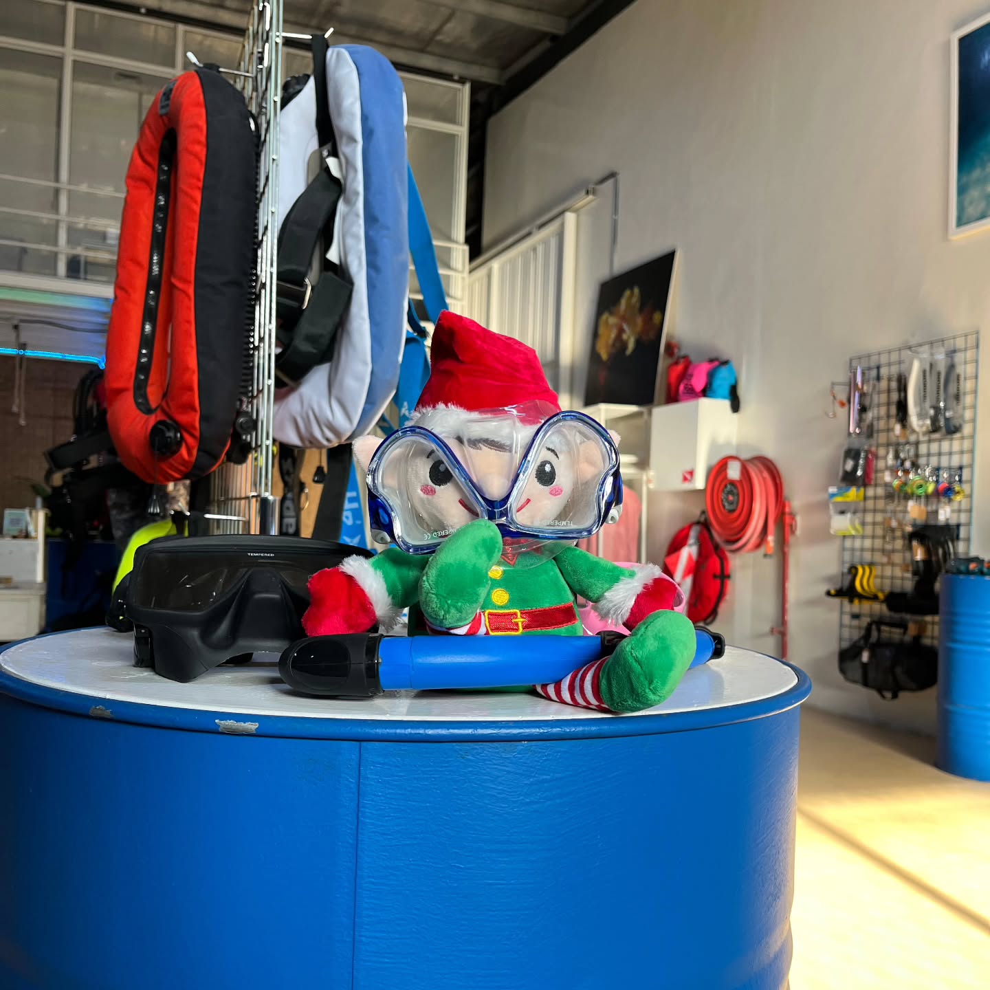 "I'm ready for my dive! ...Wait, this doesn't feel right!'