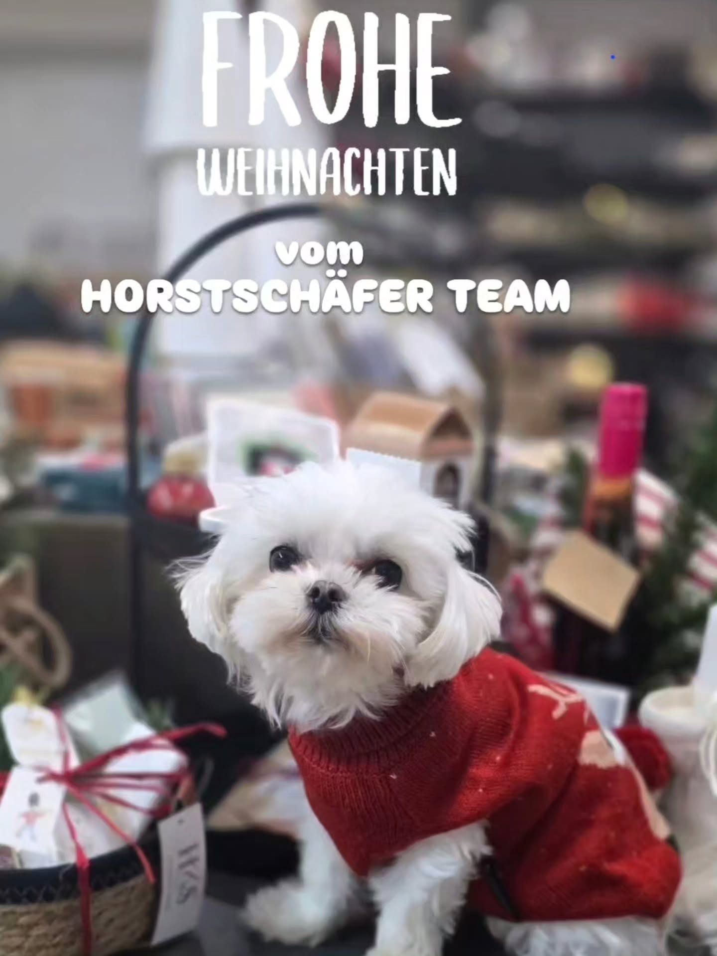 Und zack - plötzlich ist Weihnachten 🎄💫
Das ganze HORSTSCHÄFER TEAM wünscht Euch ein wunderbares Weihnachtsfest mit ganz viel Ruhe und Besinnlichkeit. 🎅
Wir sind am Samstag wieder für Euch da!
Bis dahin - macht's Euch gemütlich.
#kleinelädenandiemacht
#merrychristmas #weihnachten