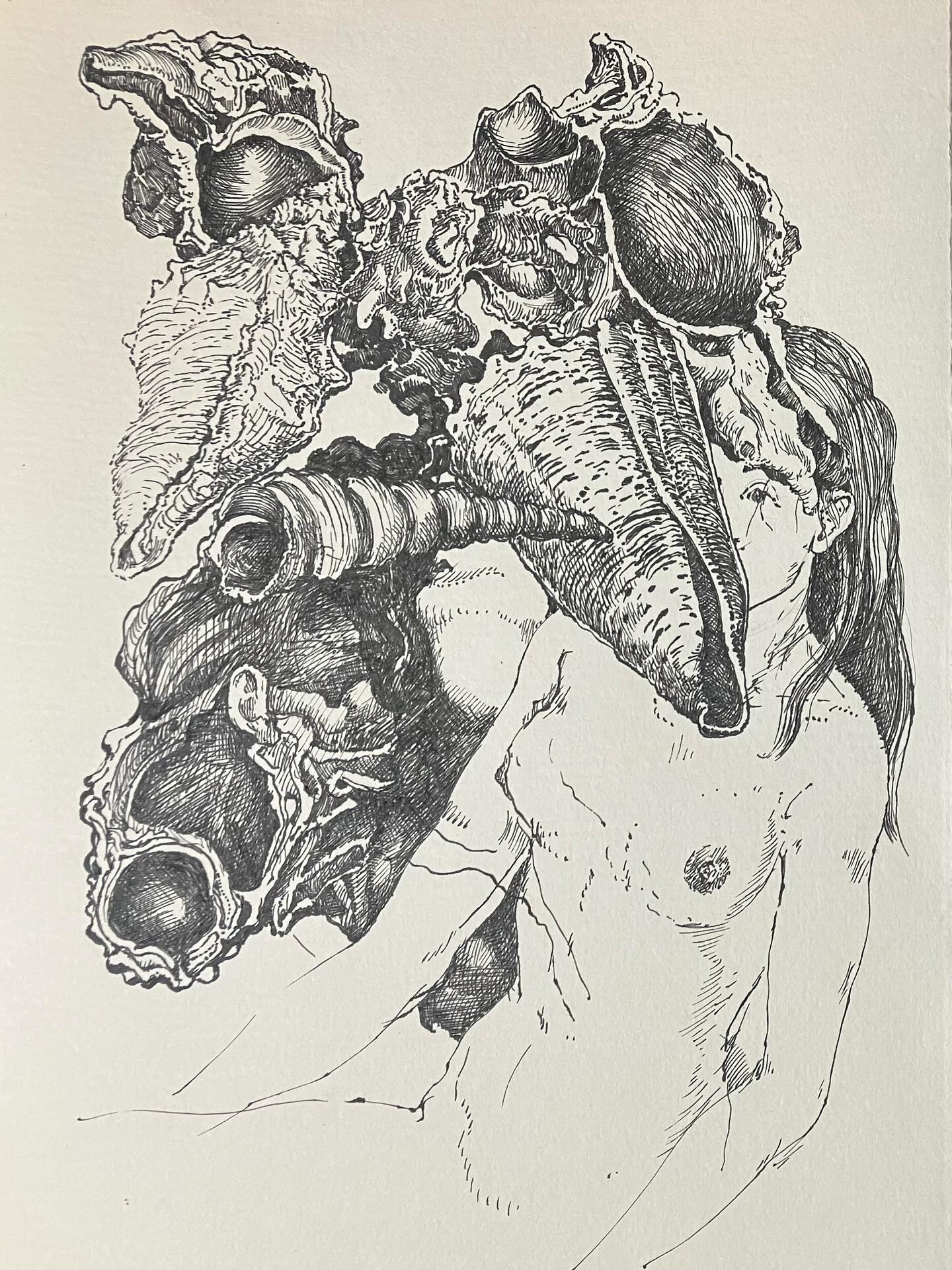 “Schelpenmeisje” (Et Dieu crea la femme), pentekening, 2025. #lifedrawing #seashells #insectsartprints #erosandthanatos #printmaking #etching #figuredrawing #classicdrawing #malefigureprints #blackandwhitedrawing #engraving #largeetching #penandink #quickstudies #malenudedrawings #portraitdrawings #landscapedrawing #seascapedrawings #beachscenesart #selfportrait #fromlifeonly #stopusingphotographs #botanicalprints