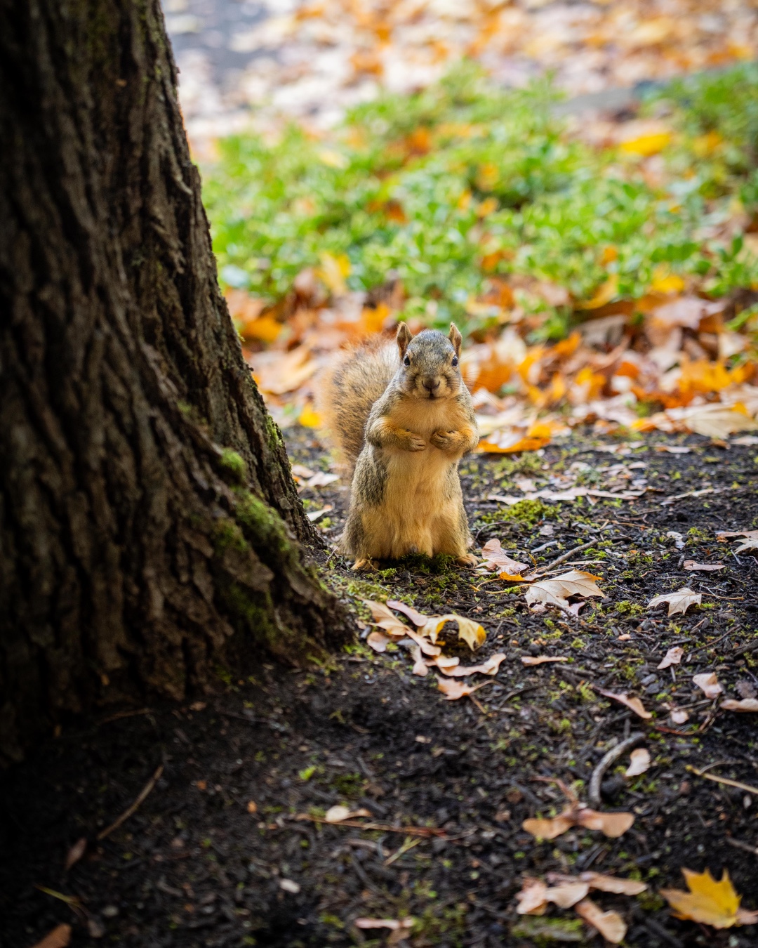 Enjoying the present and taking in the last few views of fall on campus. 🍂
"This is the day that the Lord has made; let us rejoice and be glad in it." - Psalm 118:24