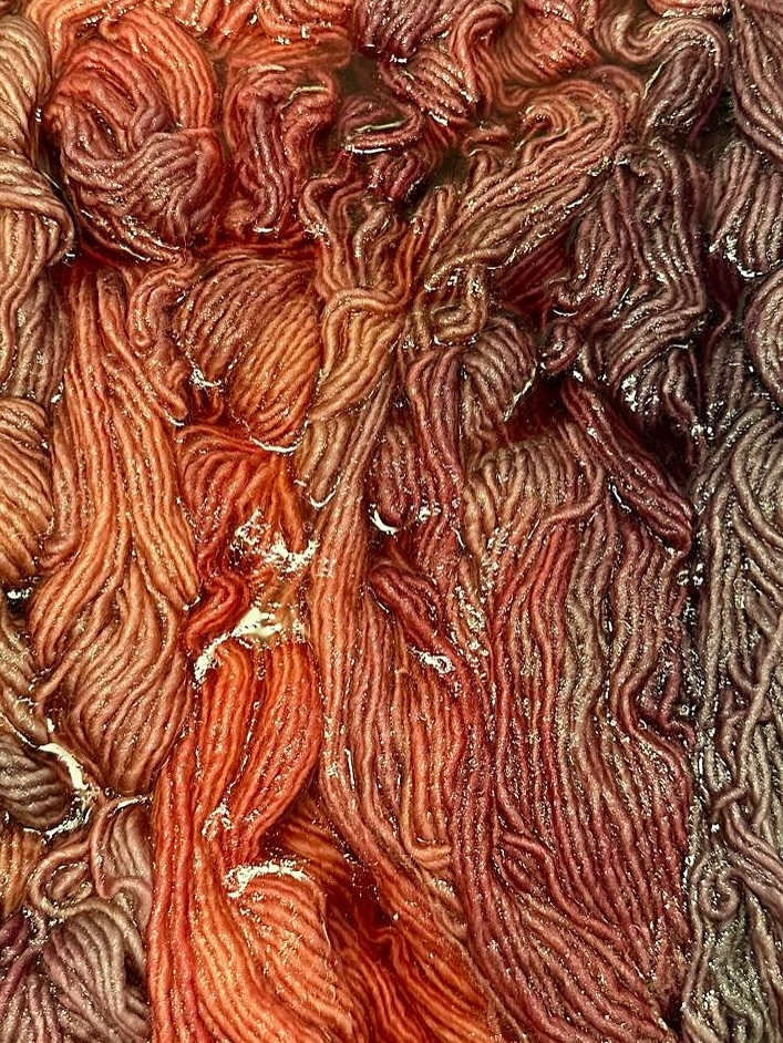 Hand-dyed yarn lovers, this one’s for you! 🌈
Every skein is dyed in small batches, creating unique colorways you won’t find anywhere else.
From warm gradients to bold tones, each piece is crafted by hand for makers who value quality and creativity.
✨ Shop the new collection now on my website ‼️ limited quantities available‼️ ✨
#handdyedyarn #yarnlove #indiedyedyarn #yarnart #yarnaddict #knittinginspiration #crochetinspo #fiberartist #yarnlovers #smallbatchyarn #handmadefiber #knittersofinstagram #crochetersofinstagram #yarnshop #fiberlove #craftingcommunity #makersmovement #yarnporn #colorinspiration #slowcrafting #supportsmallbusiness