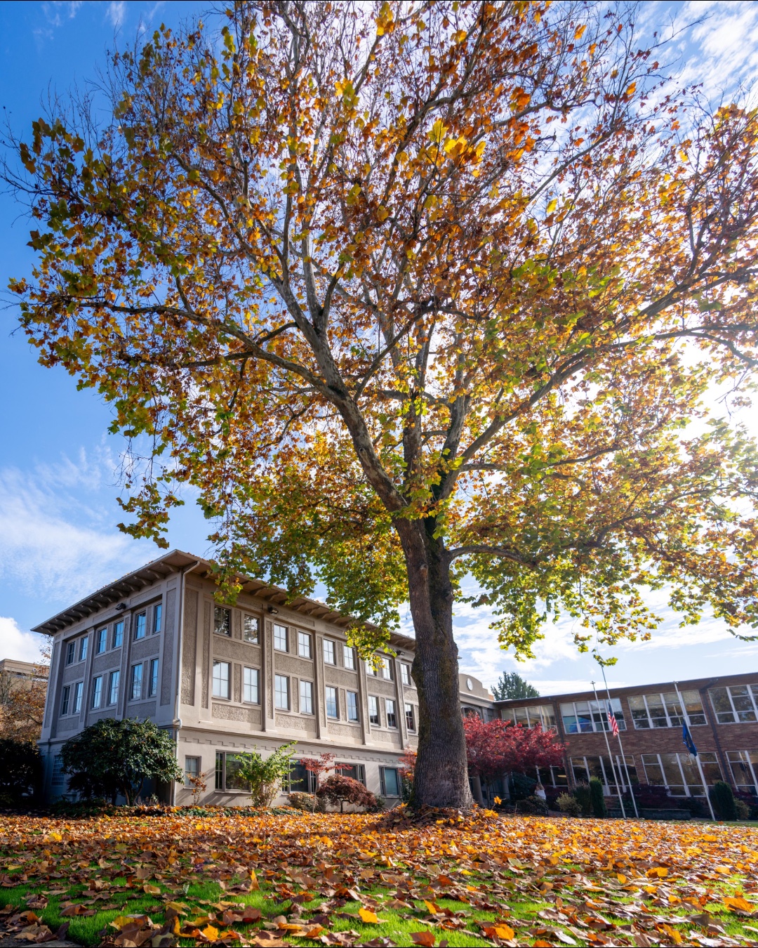 Enjoying the present and taking in the last few views of fall on campus. 🍂
"This is the day that the Lord has made; let us rejoice and be glad in it." - Psalm 118:24