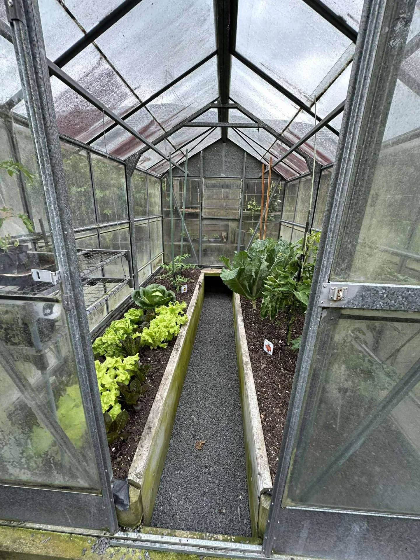 Garden #10
Another incredible new garden to the festival this year.
Sonja & Stan Hickey
Sonjaโs description is the perfectly imperfect vegetable berry and fruit gardens. We are fortunate to have a large property and grow enough food for ourselves, the freezer and family. It wasnโt always so, an old property that was overgrown. Fortunately Stans business has equipment to clear the site and begin the landscaping. Lovely rock gardens, sweeping lawns and amongst there is a tractor, plough, a horse, bees and a family of ducks.
#rotoruafestivalofgardens #nzgardenfestival #nzgardens #nzgardener #kiwigardener #yatesnz #palmersnz #rotoruaevents #rotorua