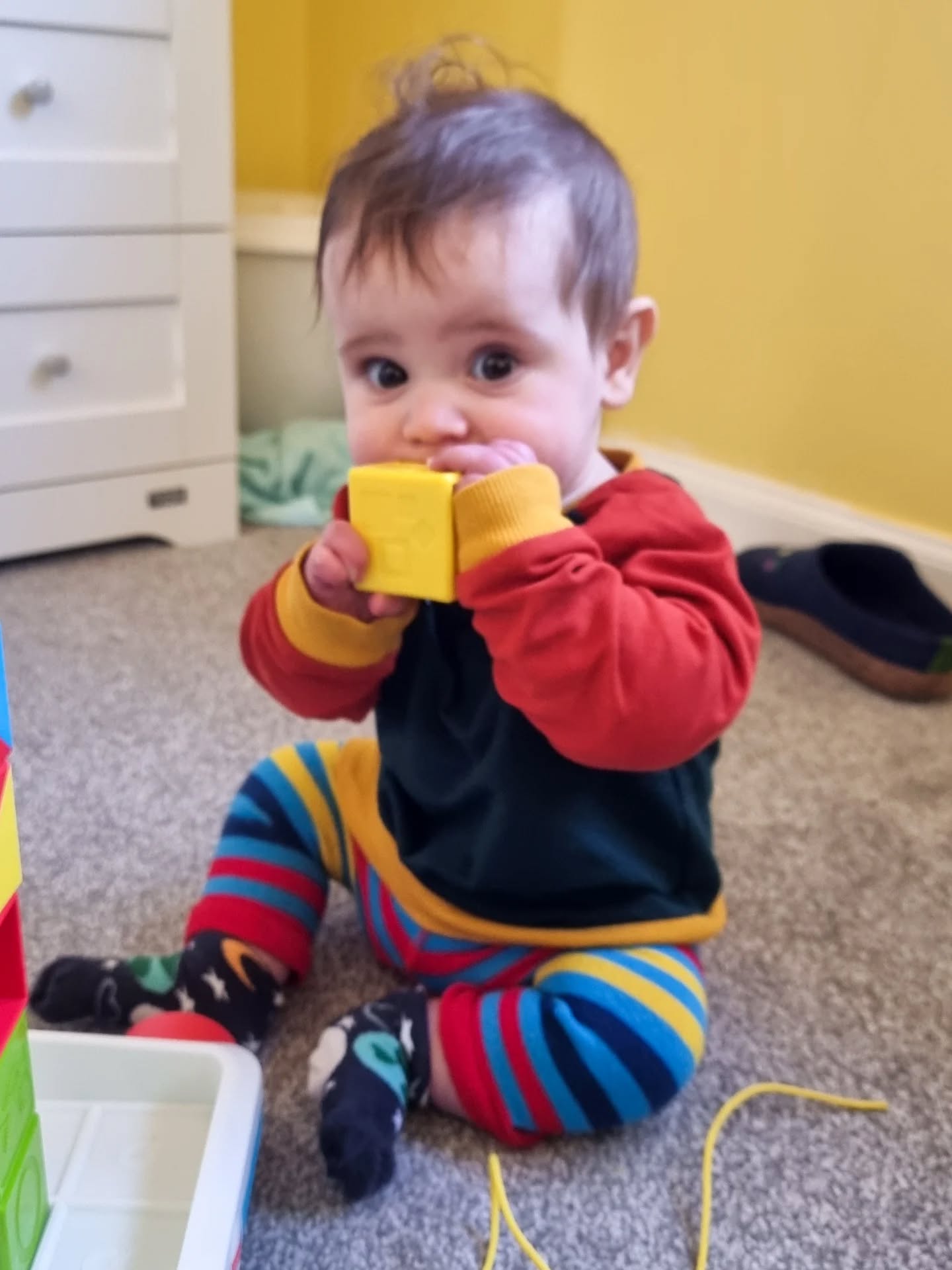 I finally made Patrick a Sporty Raglan Sweater, and it's perfect for a busy baby! This dude is now sitting and crawling!
#90baby #handmadeforbaby #madebymum #edinburghmums #scottishmakers