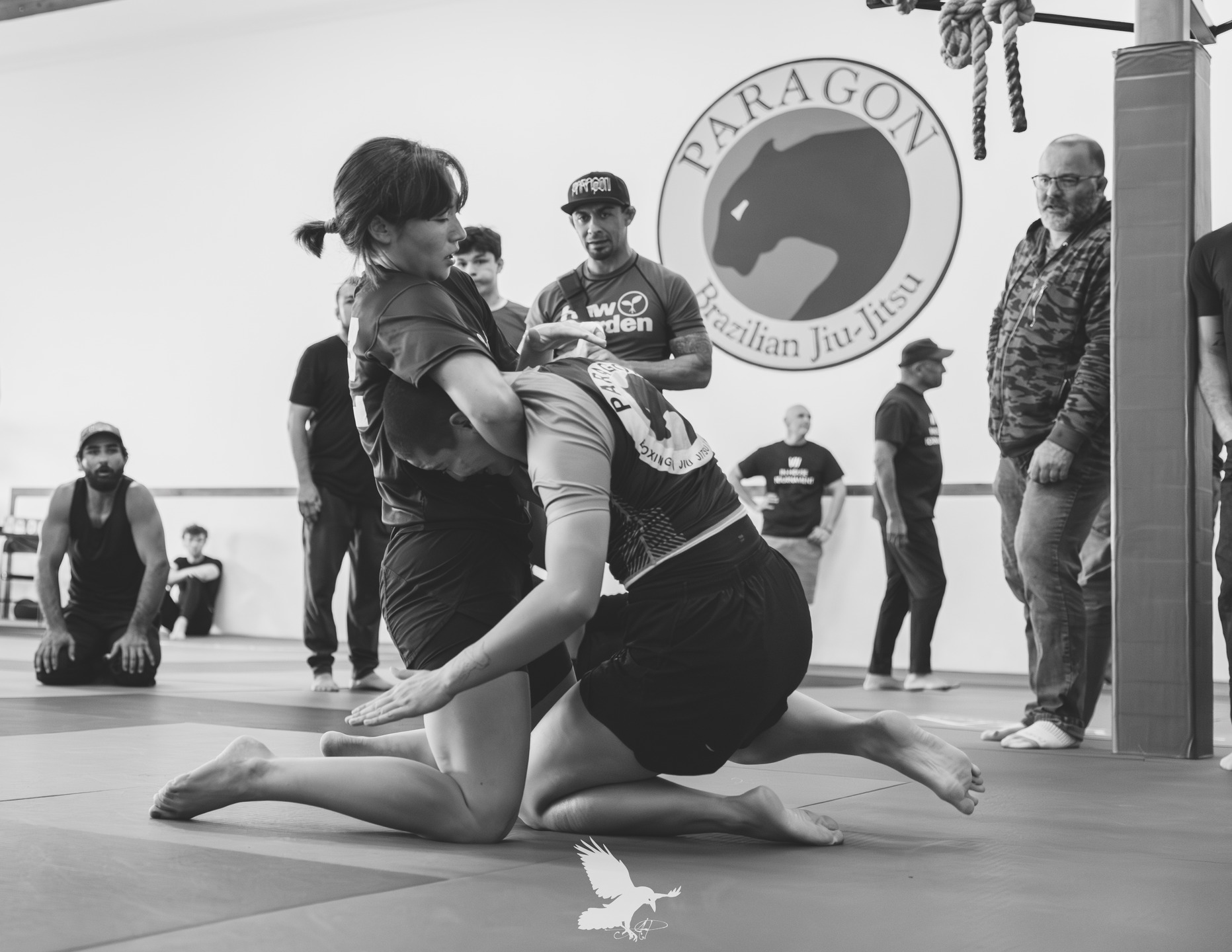 Second set of photos from @paragonbjjventura In-house tournament!