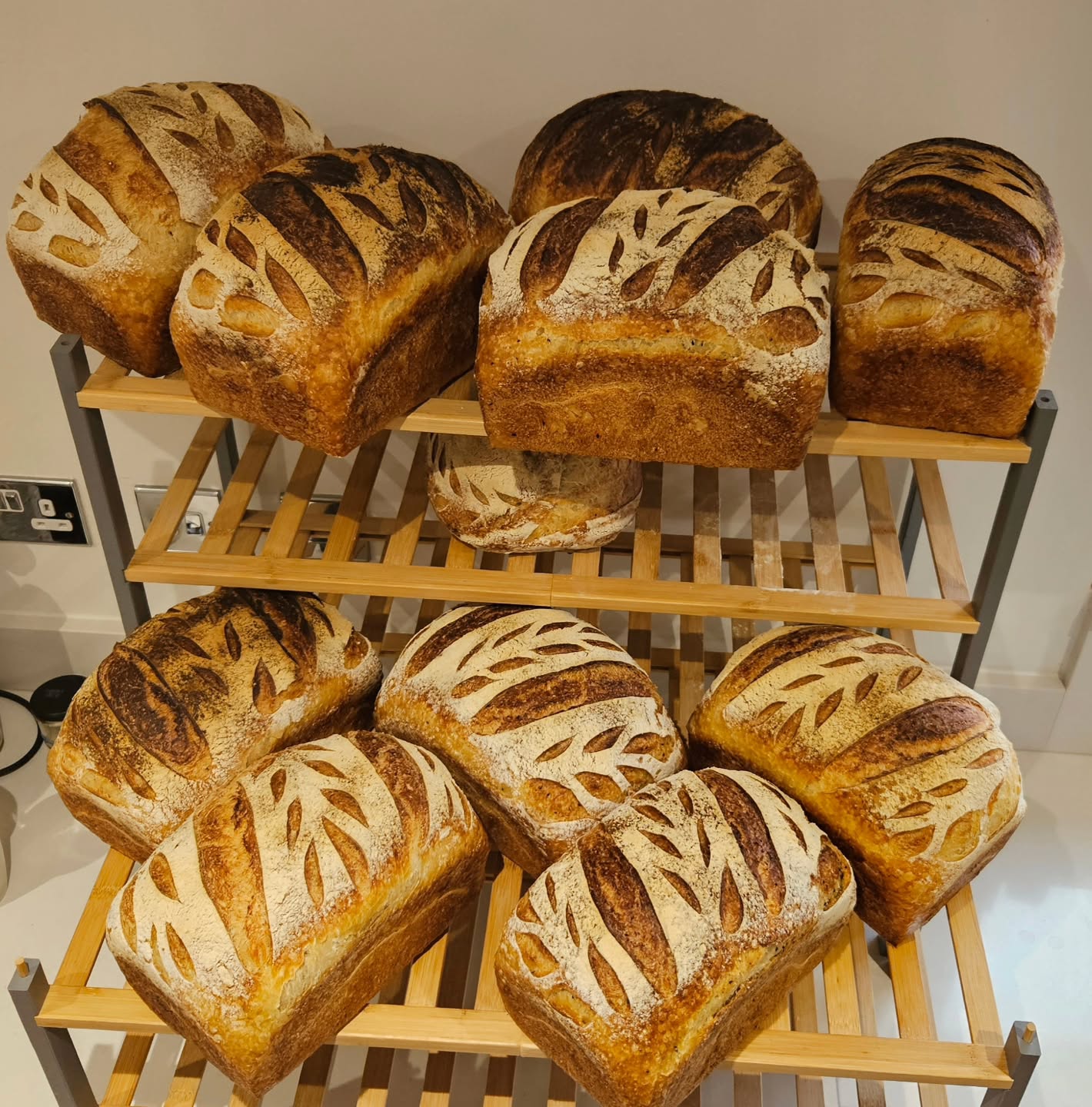 Sometimes small is just not enough!
I was invited to join an exciting new chapter for a fantastic business, supplying the sourdough magic behind their creations. The food truck? Say Cheese. And let me tell you… these sandwich loaves are so gigantic they laughed at my standard bread rack.
In the photo you’ll spot the Golden Loaves and the Pharaoh’s Loaves soon to be transformed into something truly next-level. (Honestly, I wish Instagram allowed scent messages… you’d be drooling right now.)
Go give @saycheese.toasties a follow, because what’s coming will be epic. 🔥🧀🍞
#SourdoughLife #BakedByTheVarga #TogetherBetter #SayCheese #SourdoughMagic #BreadGoals #LoafLegends #FoodTruckLove #CheesePullChampions #CollabVibes #BakersOfInstagram #CrunchyOutsideSoftInside #EpicToasties