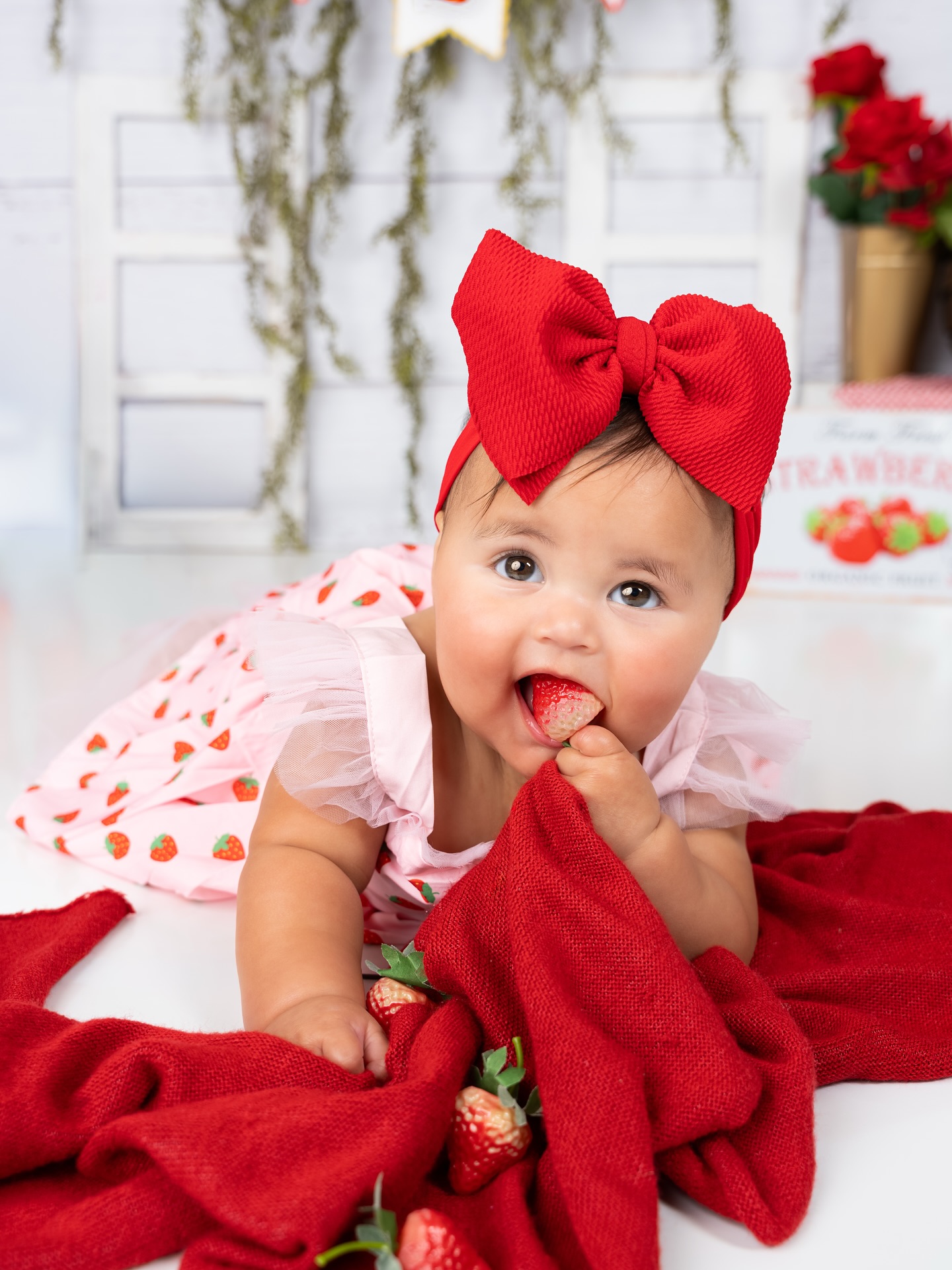 Cake Samsh Photo Session in Orlando, FL ! 🎂
#gorgeouspicturephotographygorgeouspicturephotography #orlandophotography #orlandophotostudio
https://www.gorgeouspicture.com/cake-smash-photo-session