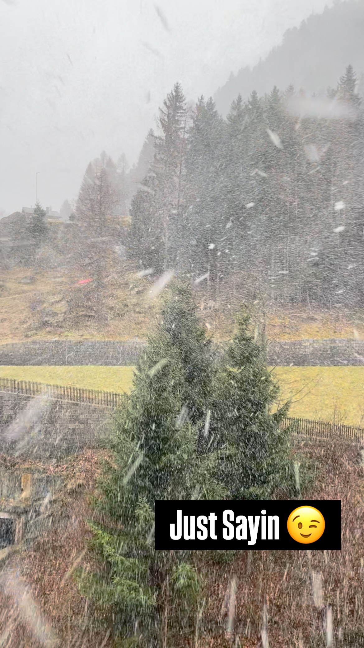 Hopkins more of this🙏 see ya all this winter!
#andermattguides #winter #blizzardskis #fjällräven