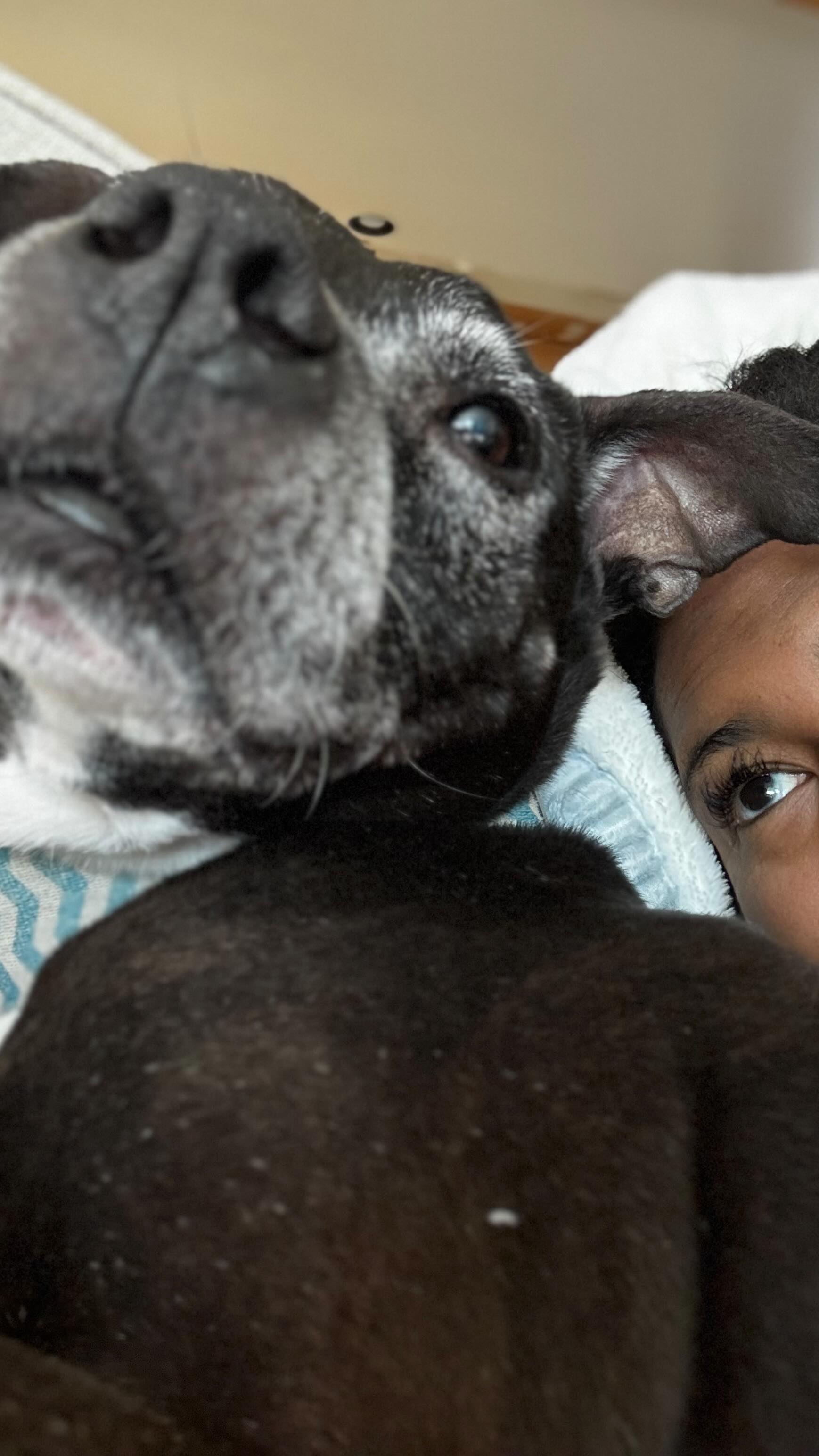 Educational content only in this house 😂
#dontcomeforme #momhumor #realitytvlover #sellingtheoc #millennialmomlife #netflix #educationiskey #momlife