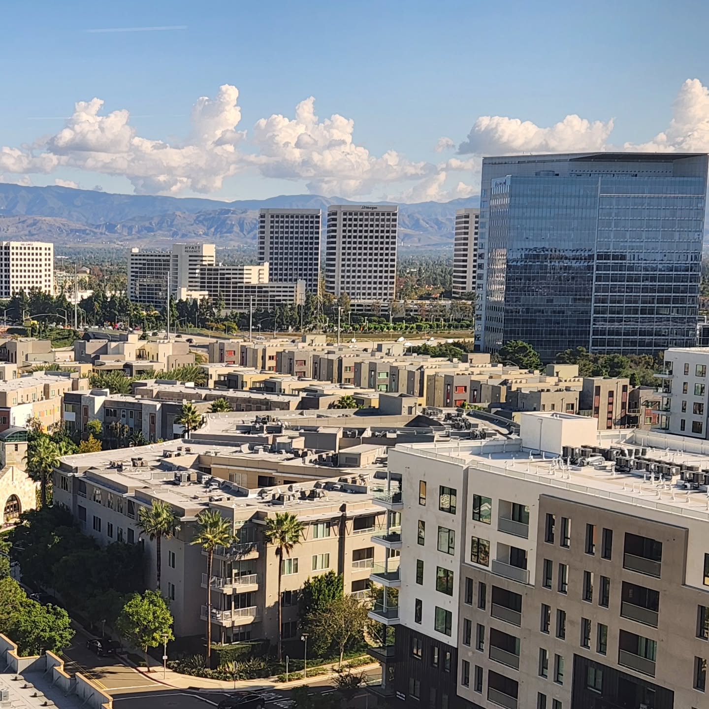 Soaking up these Cali views before heading back to the Colorado high country!
Different landscape, same mindset — move your own way, stand out anywhere you land. 🐑🌴🖤
No matter where the trip takes you, stay true to the misfit energy. - Black Sheep everywhere.
#BlackSheepProject #CaliViews #BornDifferent #MisfitEnergy #TravelVibes #StandOutNotBack #BlackSheepEverywhere