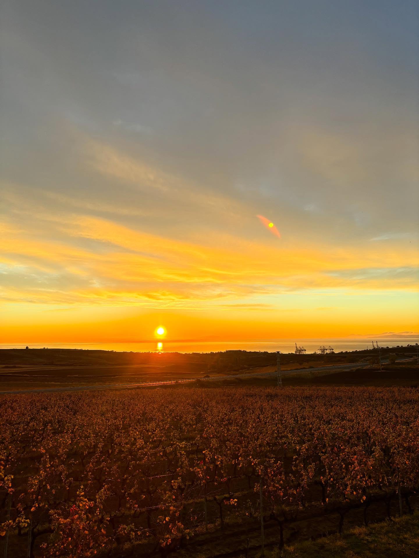 Sakin sabahlar ✨ 🌅 #gündoğumu #güneş #barbarebaglari #barbarebağları #barbare #doğa #şarapevi #bağevi #huzur #butikotel #seyahat #kaçamak #üzüm #trakya #bağrotasi