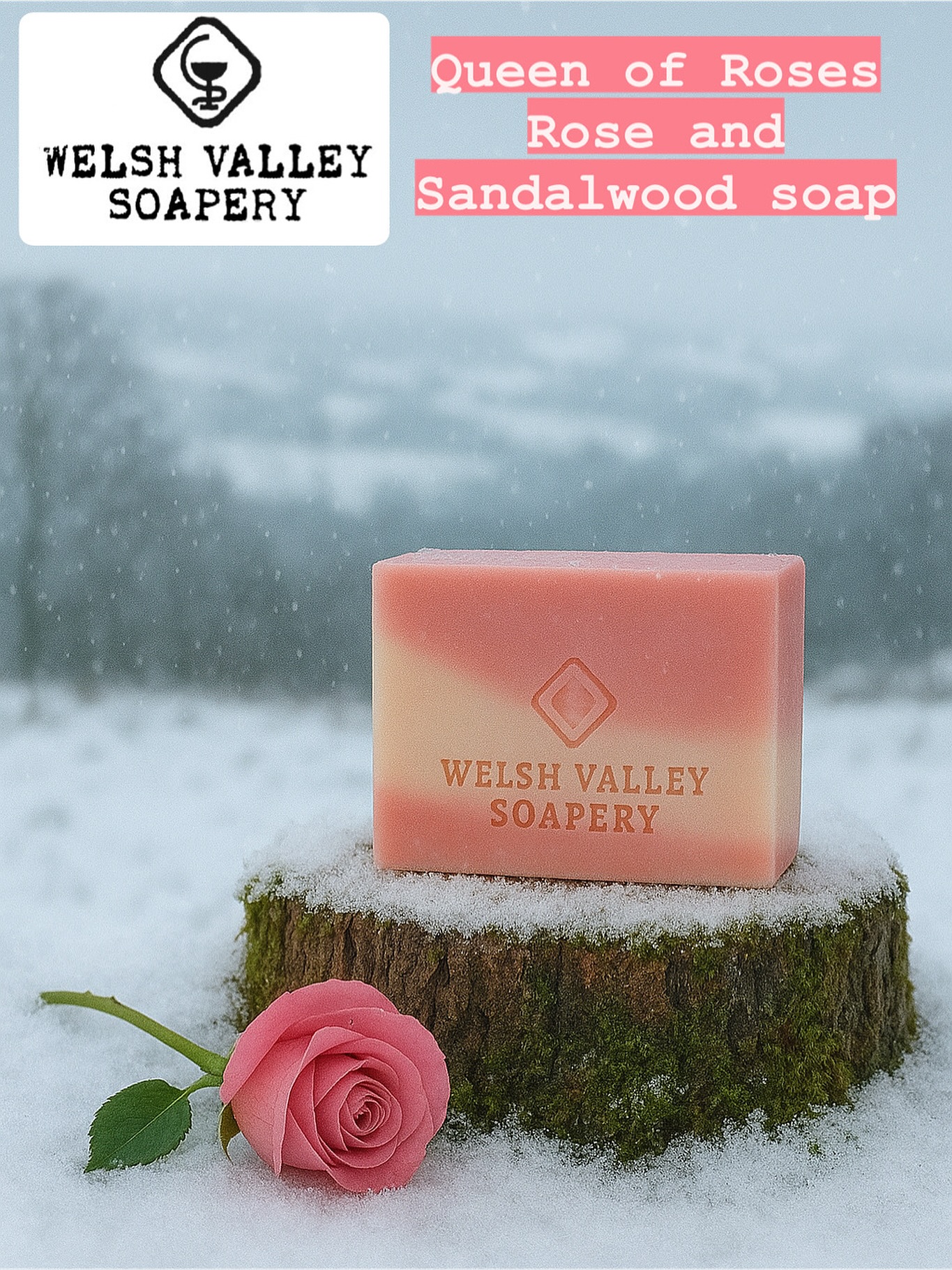 Our Queen of Roses soap is made using rose and sandalwood essential oils. The perfect Christmas present for the Queen of your family. Rose is a deeply nourishing essential oil and sandalwood has a rich and opulent fragrance. A 10% discount is available for all orders above £30 up until Christmas Day. #natural #soap #wales #welsh #present #christmas #palmfree #vegan #discount #essentialoil #rose #sandalwood #artisan #fyp