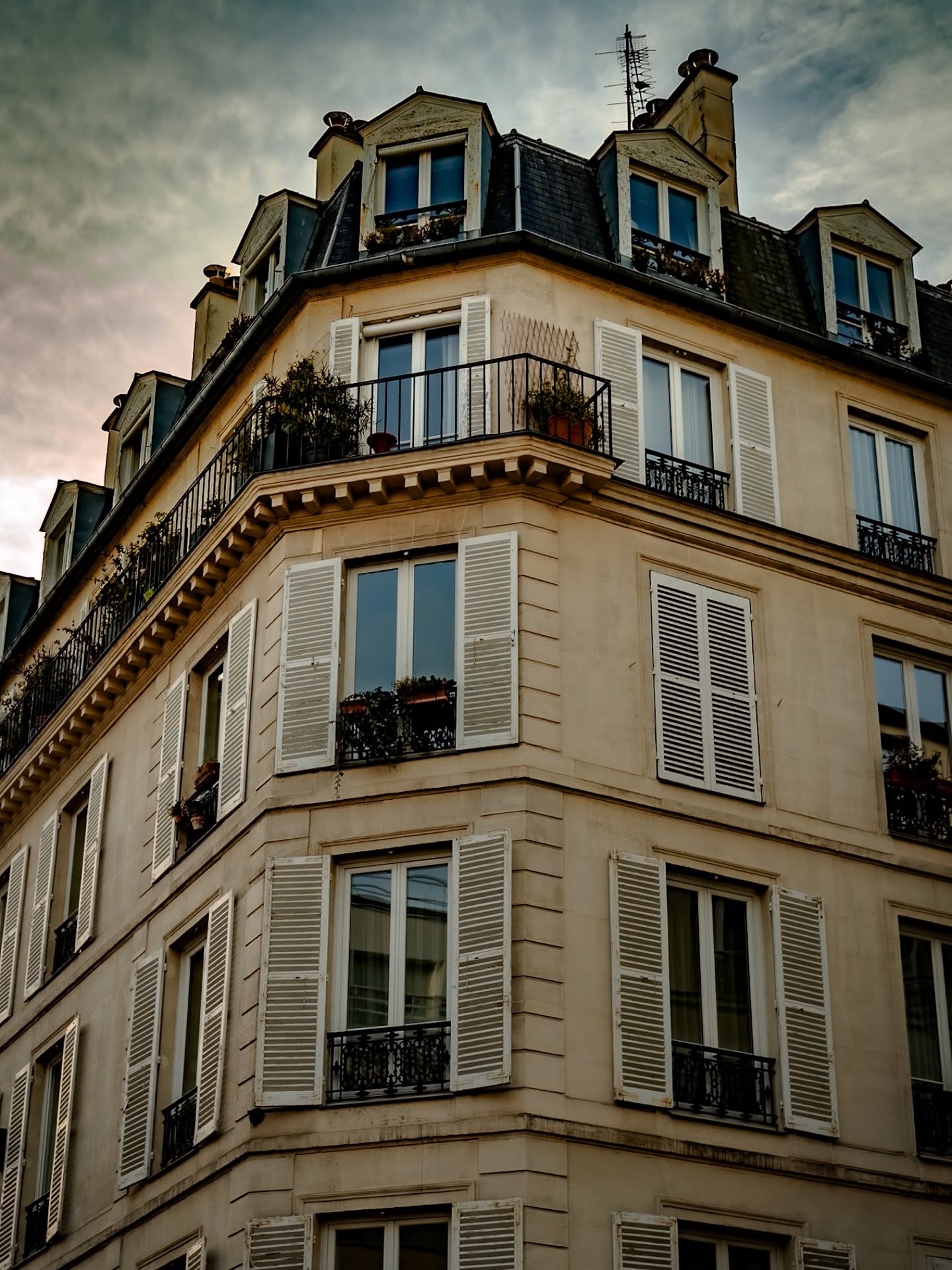 One of my favorite things about Paris: the architecture does the talking.
___
#ParisArchitecture #ParisVibes #CityAesthetics #TravelPhotography #UrbanDetails #ArchitecturalPhotography #StreetScenes #MoodyTones #WanderingPhotographer #VisualStoryteller #LensCulture #PhotoOfTheDay #ExploringCities #EuropeanArchitecture #IGPhotography