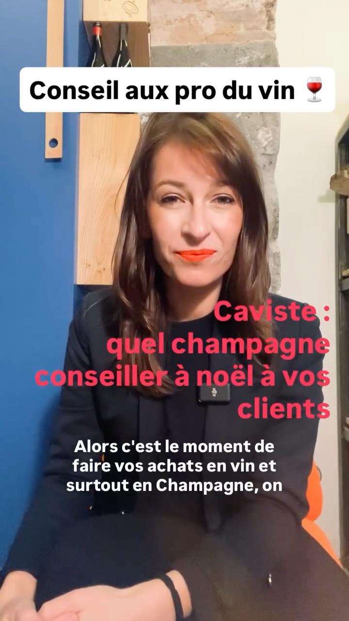 Conseil aux pro du vin (caviste) 🍷 : quel type de champagne acheter en plus grande quantité pour les fêtes de noël #vin #champagne #noël #caviste